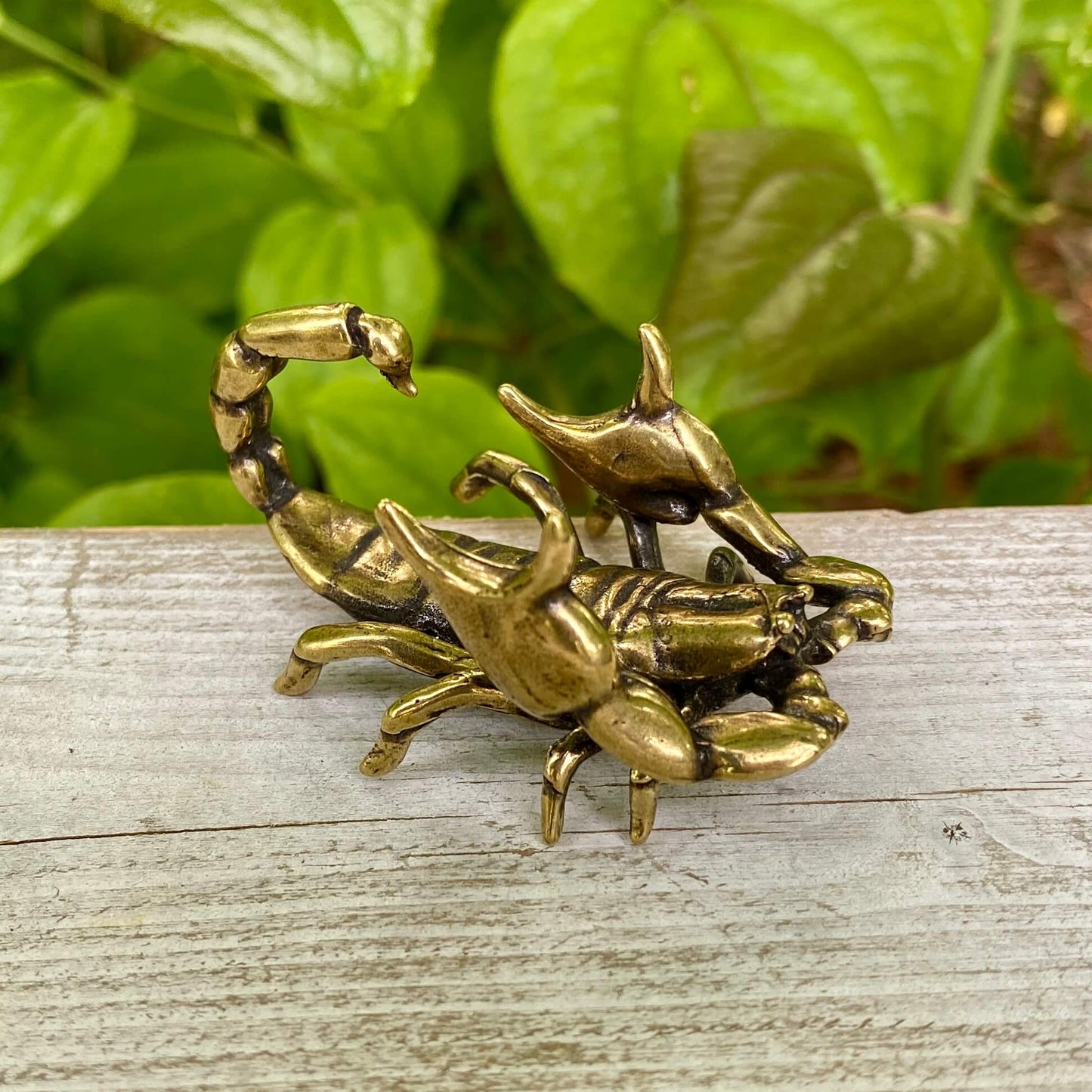 Solid Brass Scorpion - Symbol of Respect, Confidence & Power