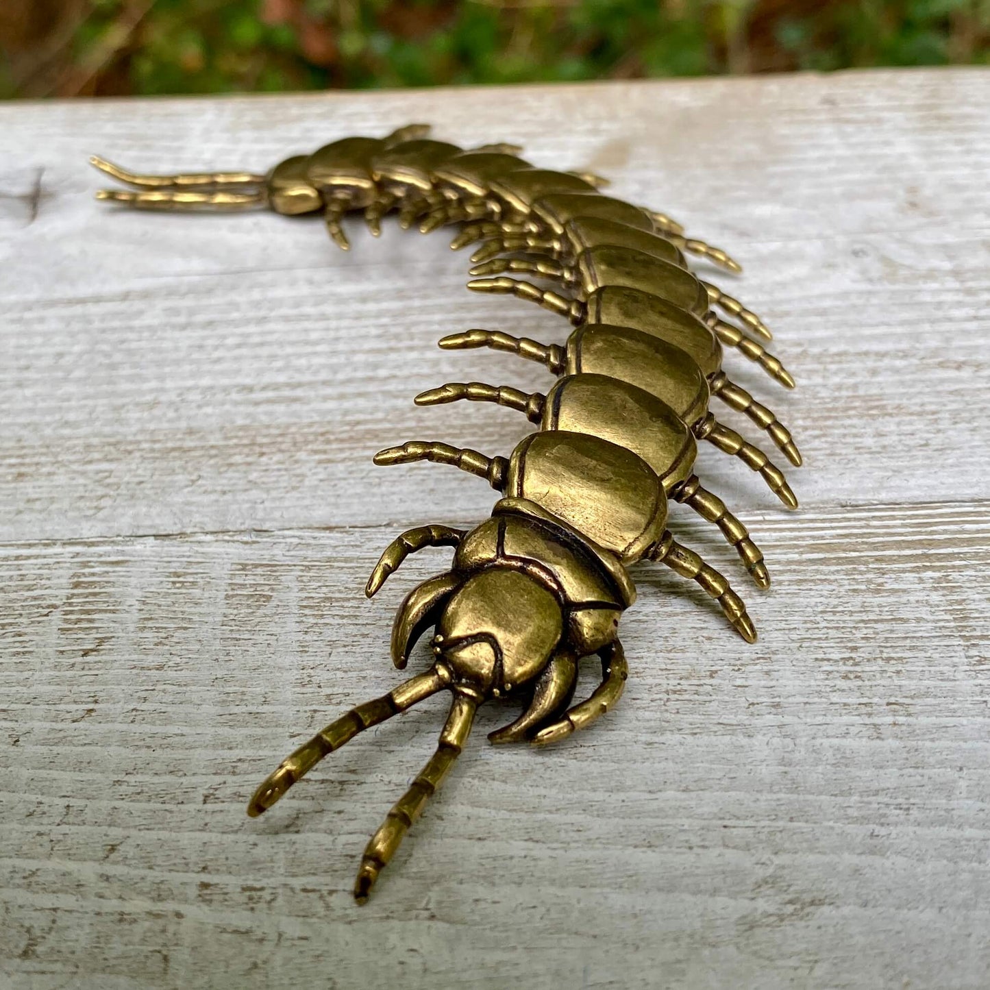 Wild Brass bendable solid brass centipede figurine, symbol of protection, persistence, and flexibility, with detailed segmented body.