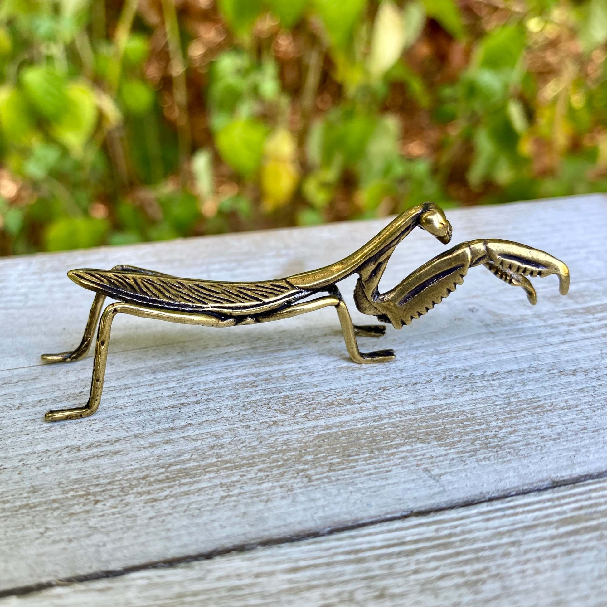 Solid brass praying mantis sculpture by Wild Brass, symbol of stillness, patience, and mindfulness, detailed insect figure on display.