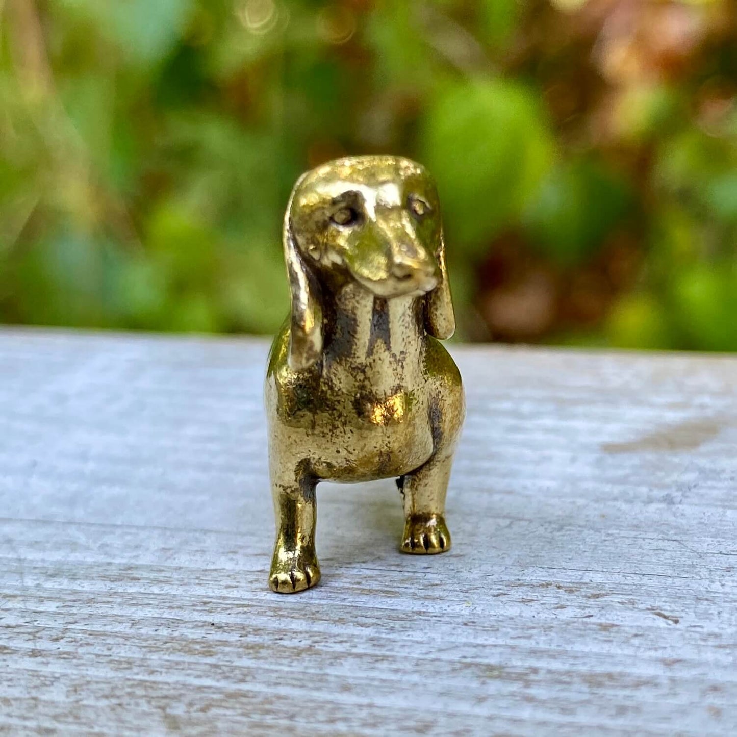Solid brass Dachshund dog figurine by Wild Brass, symbolizing courage, loyalty, and tenacity, shown in a detailed close-up.