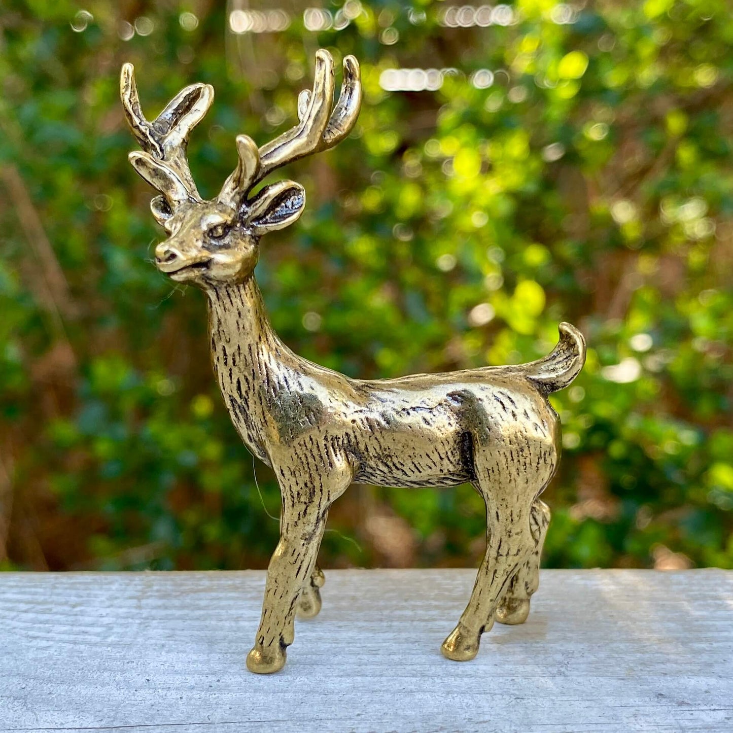 Solid brass stag deer sculpture by Wild Brass, symbolizing strength, courage, and wisdom, shown with detailed antlers and polished finish.