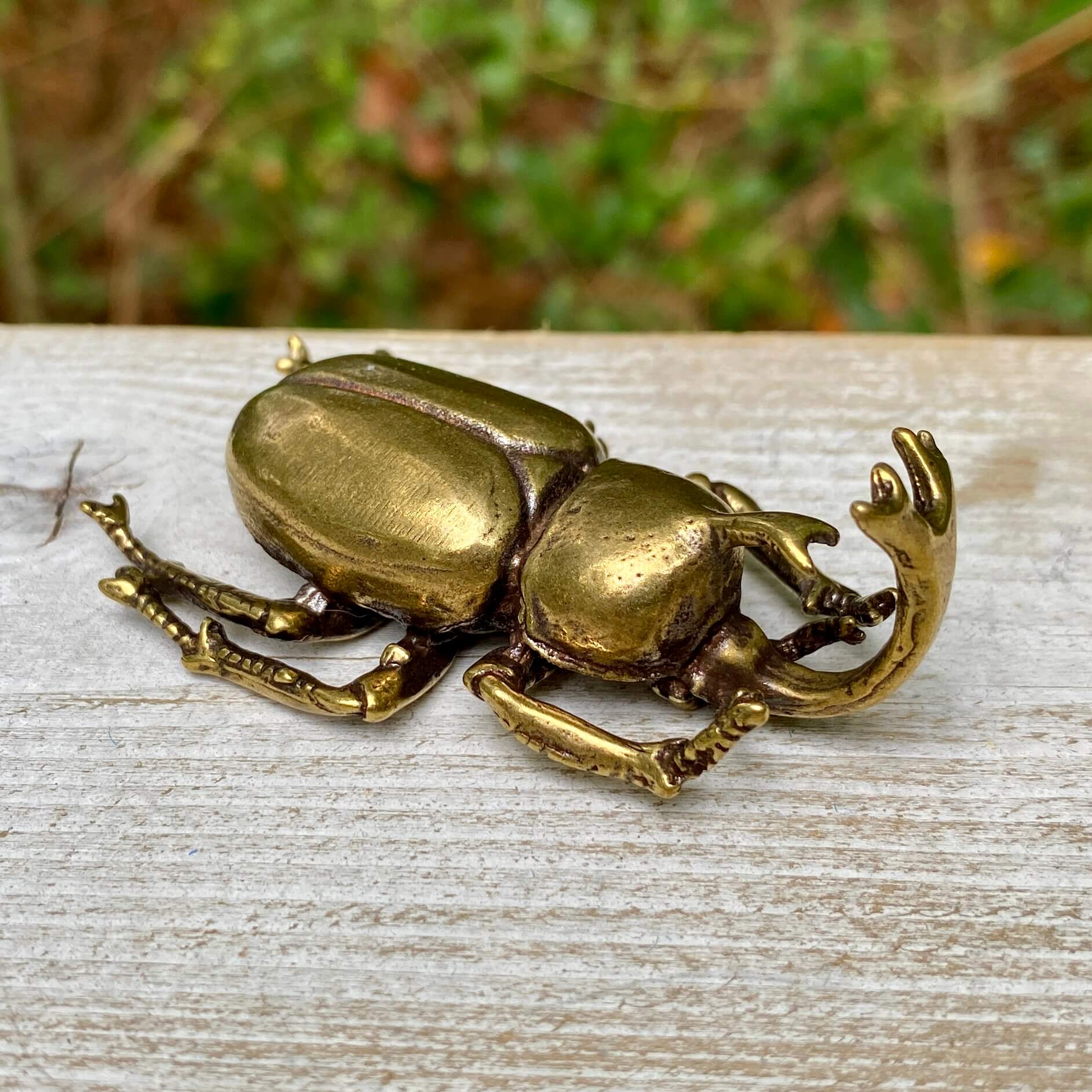 Solid brass rhinoceros beetle sculpture by Wild Brass, detailed insect with a strong, resilient appearance symbolizing strength and determination.