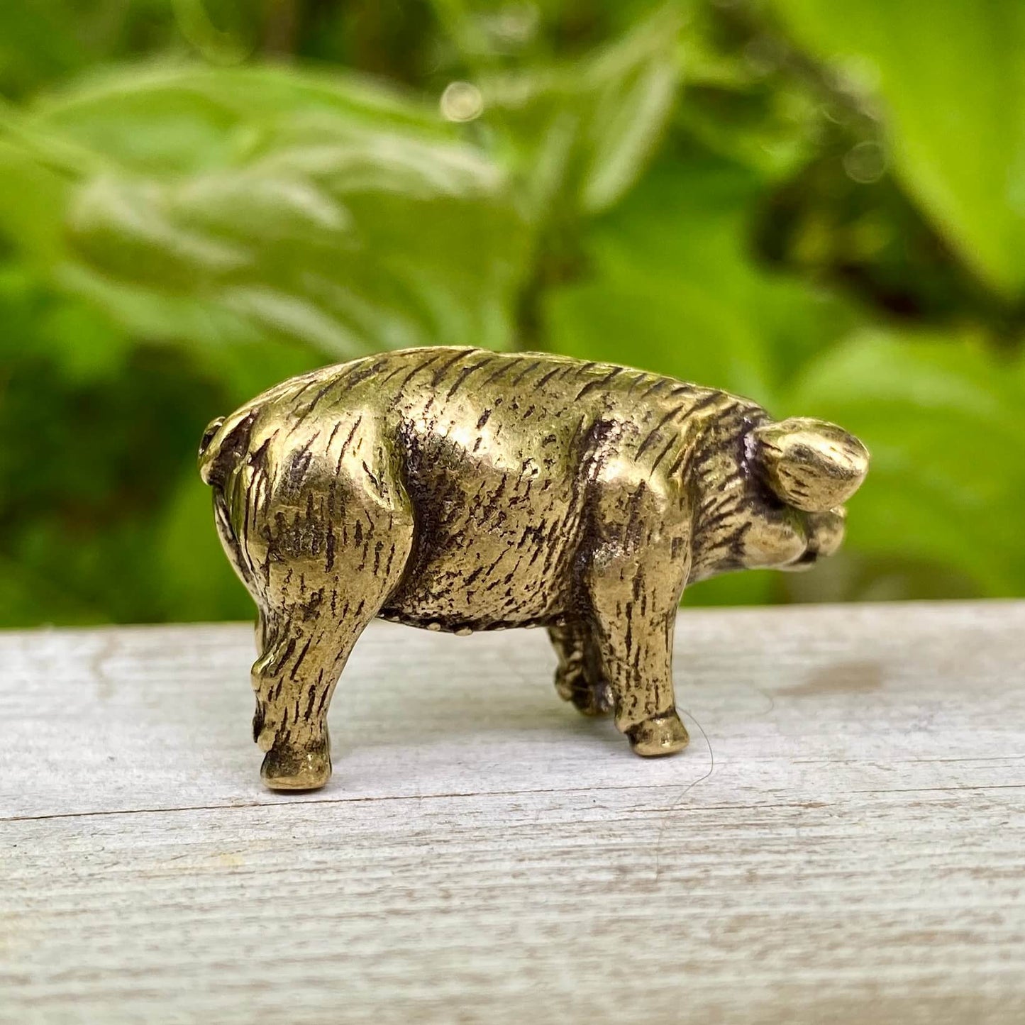 Solid Brass Pig - Symbol of Good Luck, Prosperity & Abundance - A38