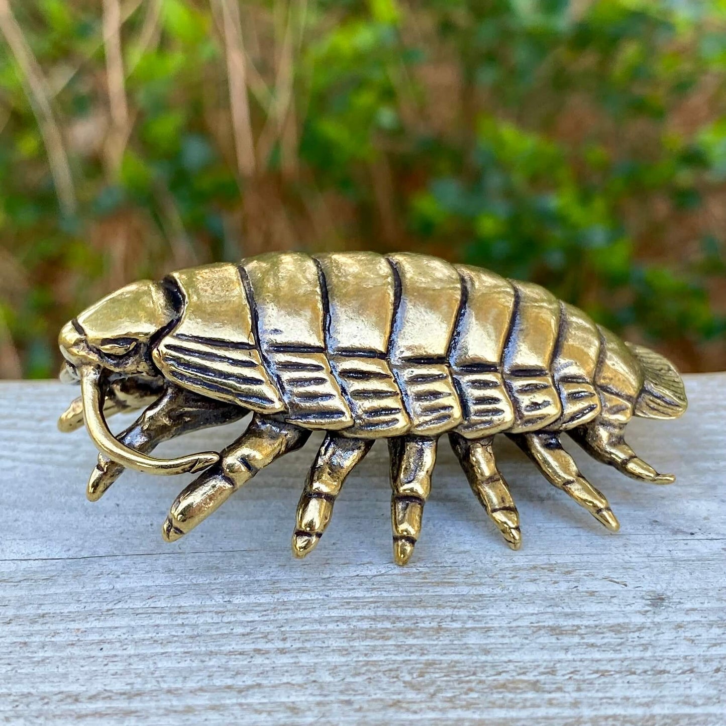 Solid brass giant isopod sculpture by Wild Brass, showcasing detailed features of the curiosity symbol for curiosity and endurance.