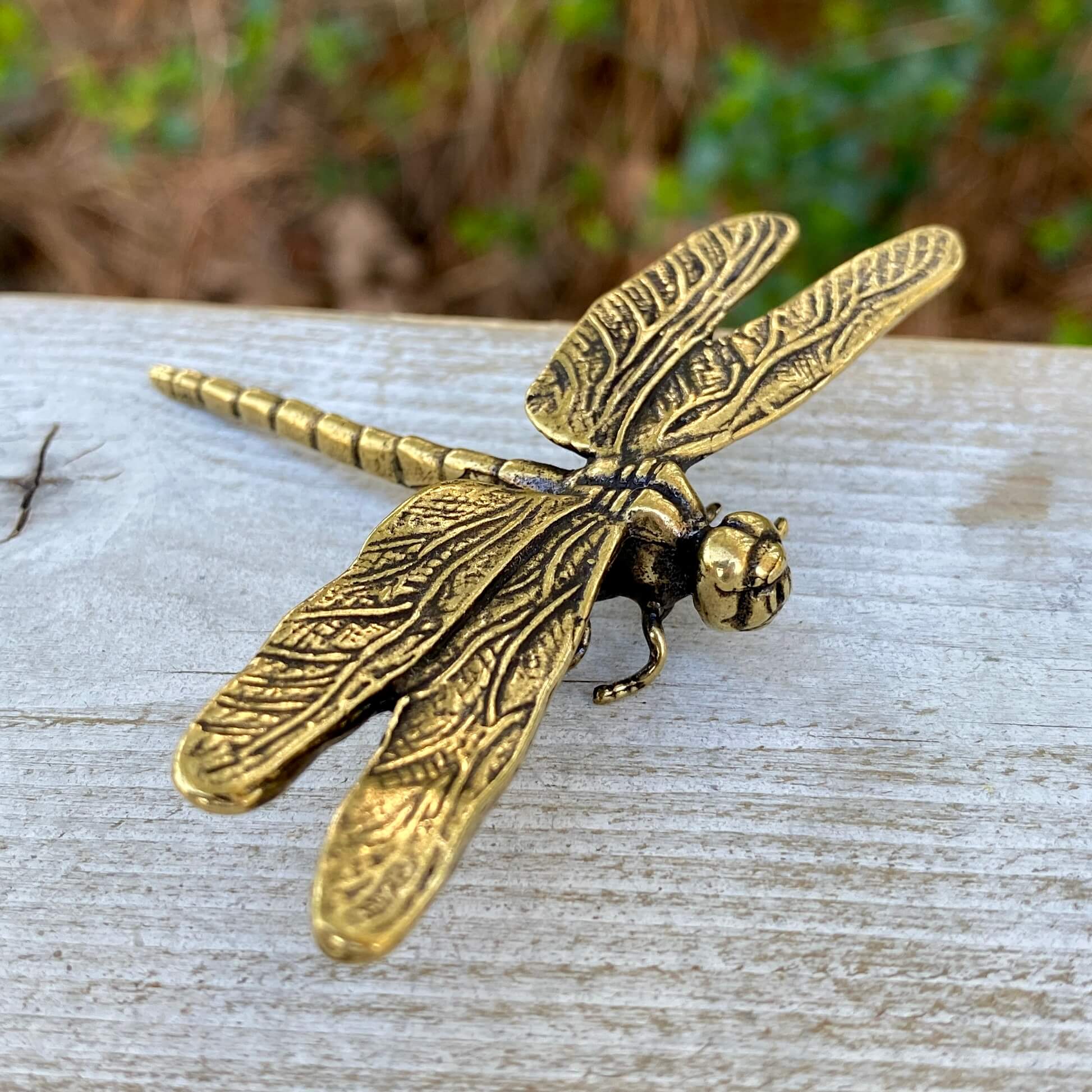 Solid brass dragonfly symbol from Wild Brass, detailed design representing self-realization and living in the moment.