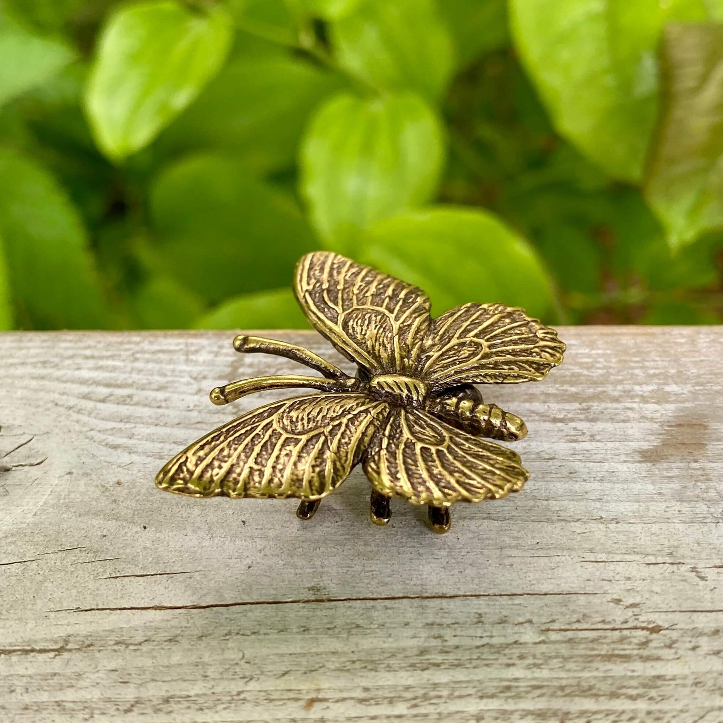 Solid Brass Butterfly - Symbol of Metamorphosis, Transformation & Revealing your True Self