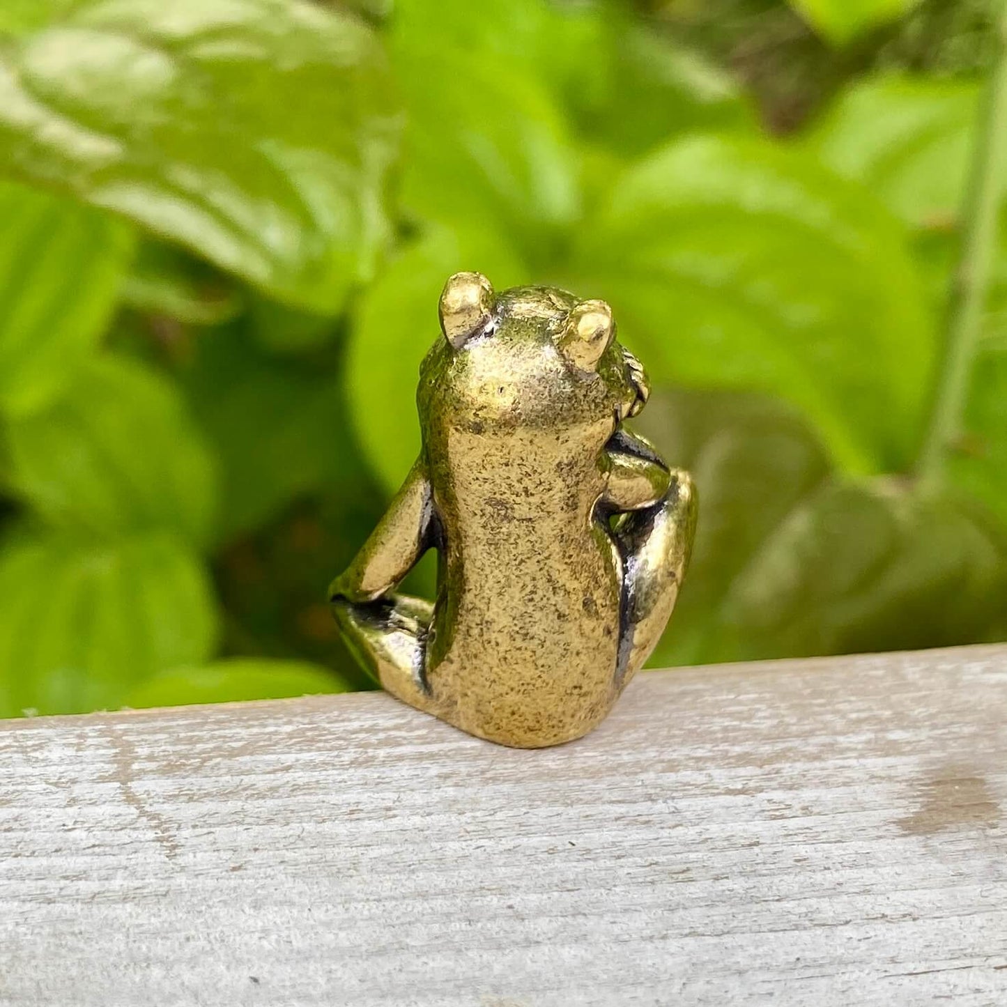 Solid Brass Frog – Symbol of Transformation, Renewal & Luck