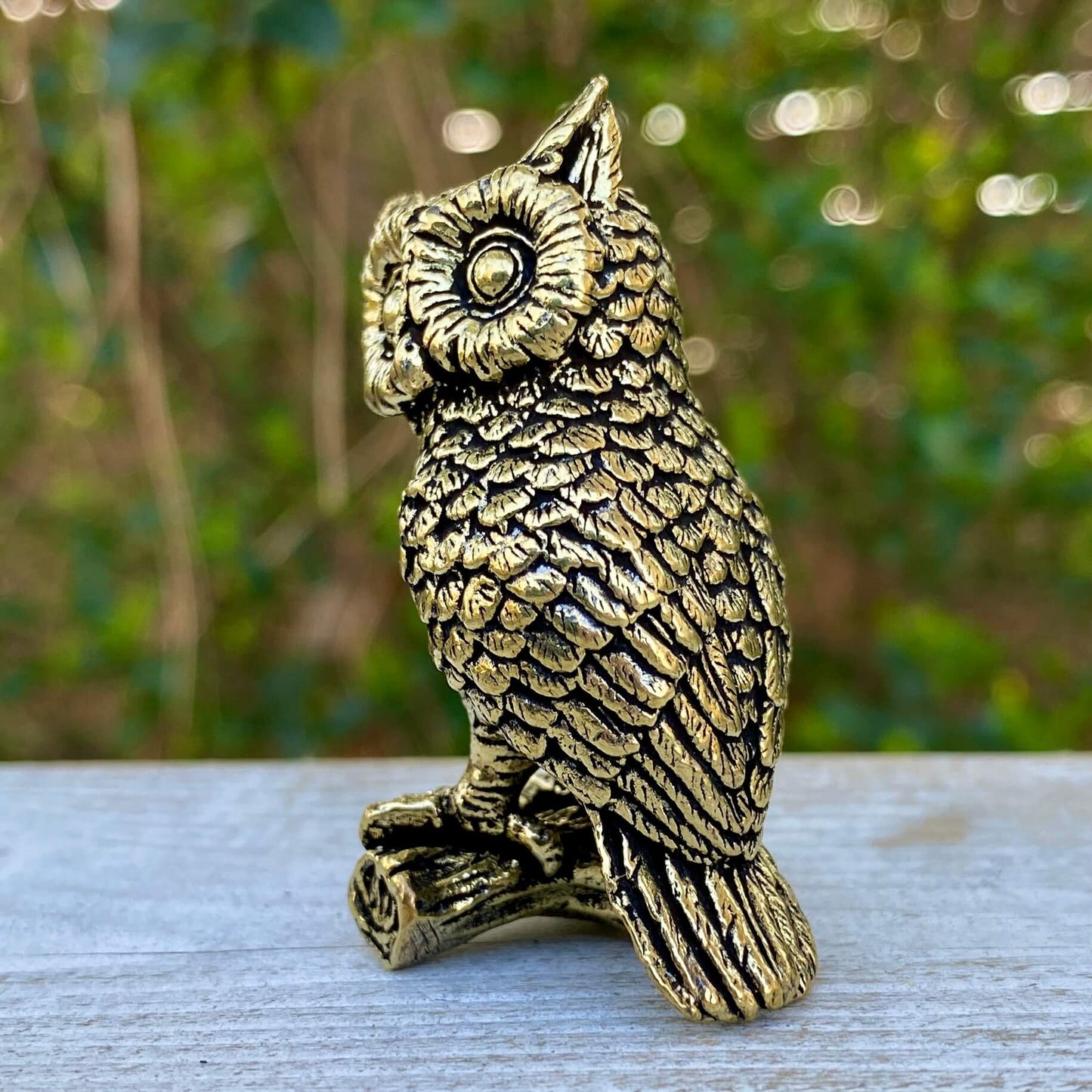 Solid brass owl figurine from Wild Brass, symbol of wisdom, intuition, and understanding, with detailed feather textures and expressive eyes.