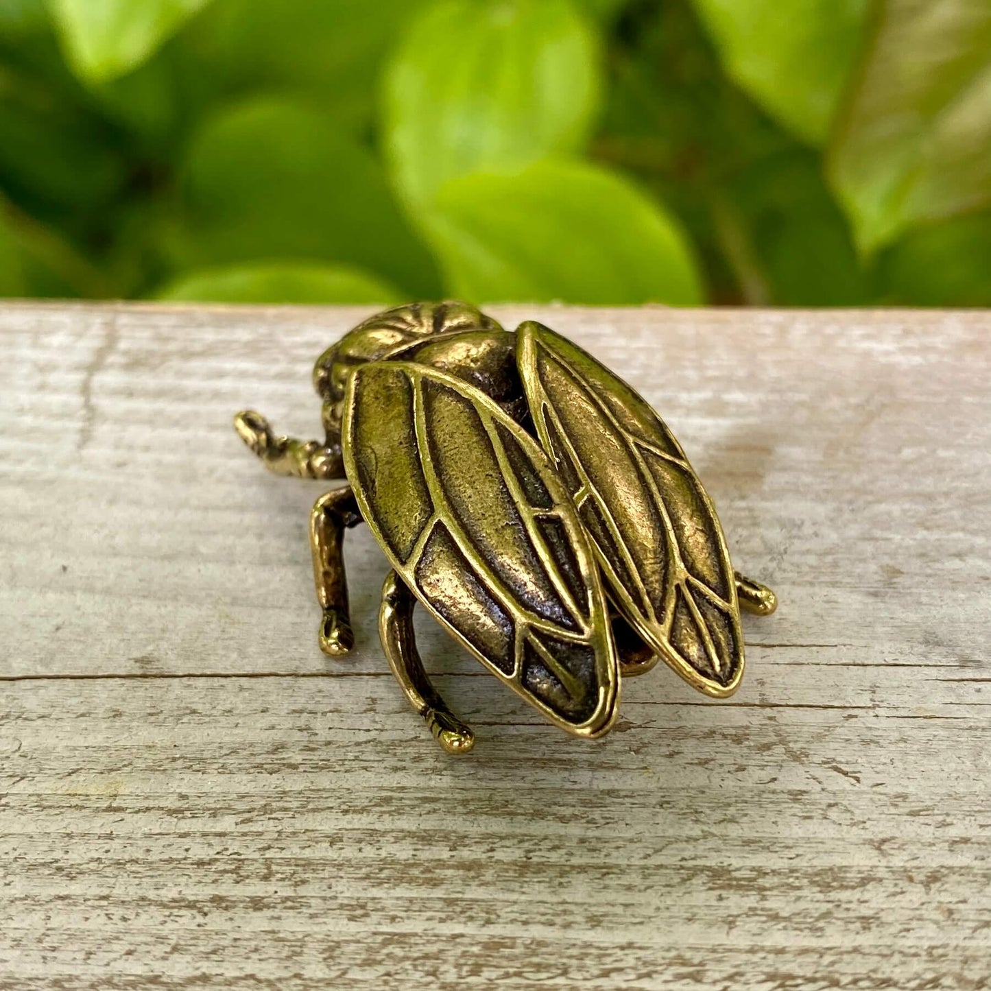 Solid Brass Cicada - Symbol of Personal Growth, Awakening & Renewal