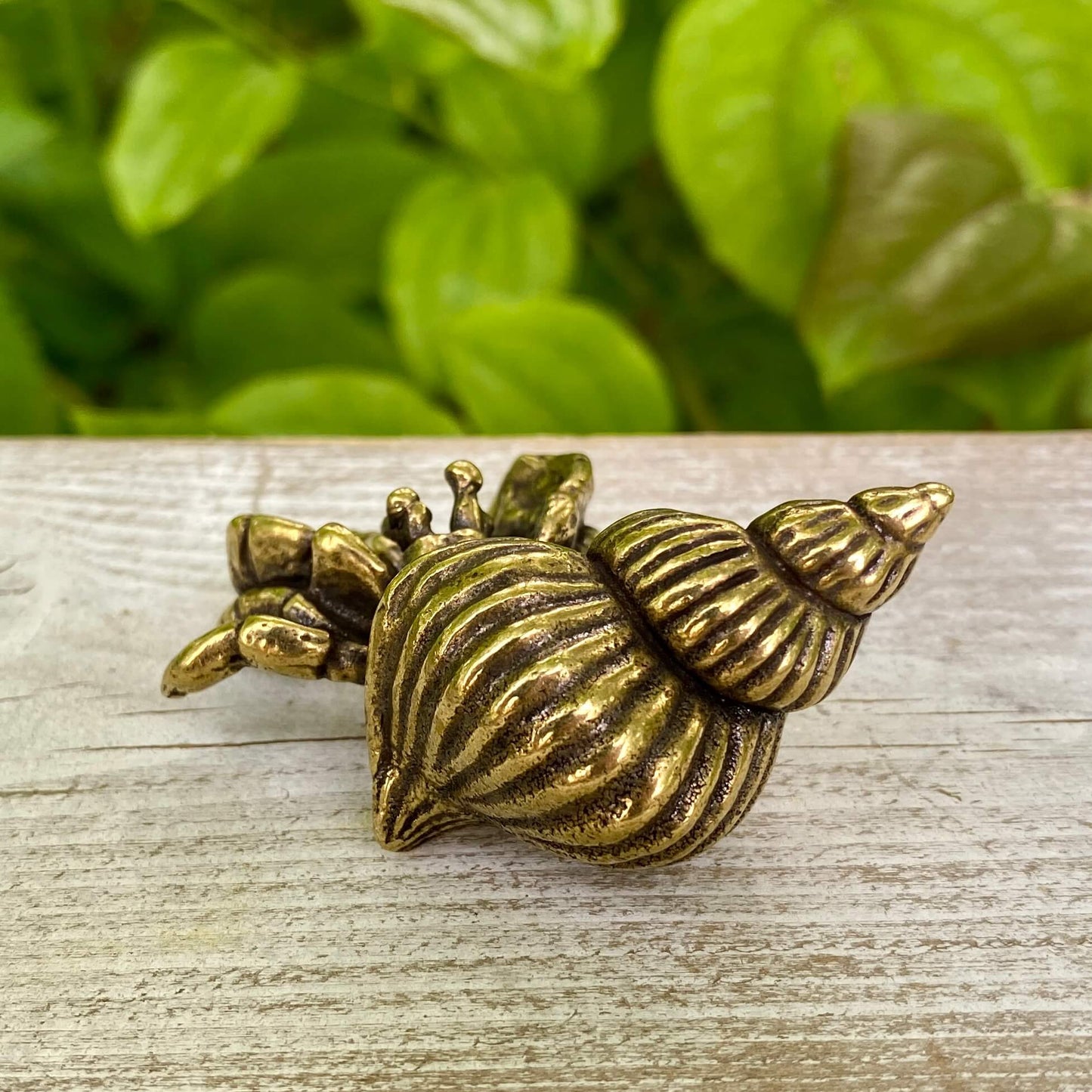 Solid Brass Hermit Crab – Symbol of Adaptability, Protection & Personal Growth