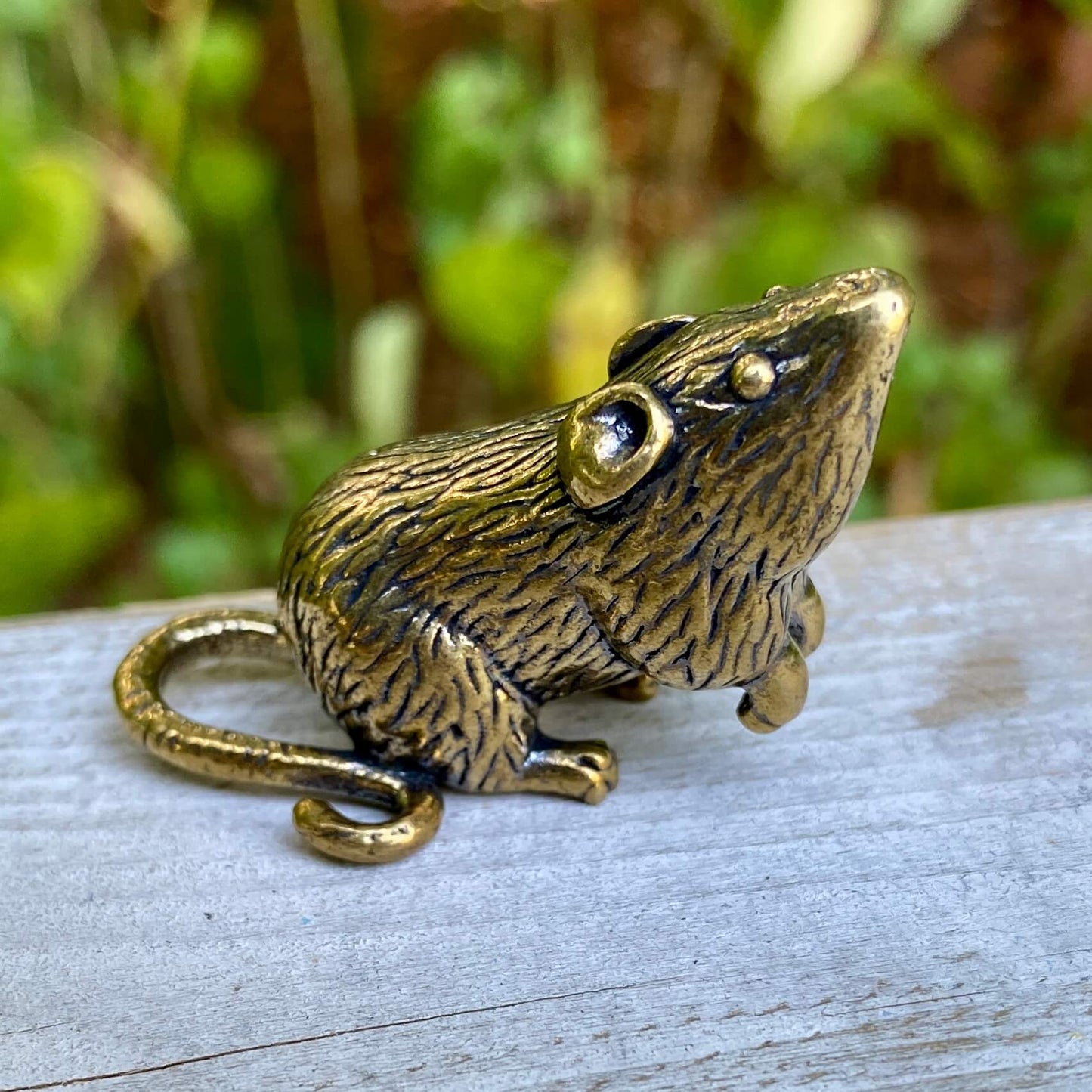 Solid brass rat sculpture by Wild Brass, detailed design symbolizing intelligence, resourcefulness, and survival.