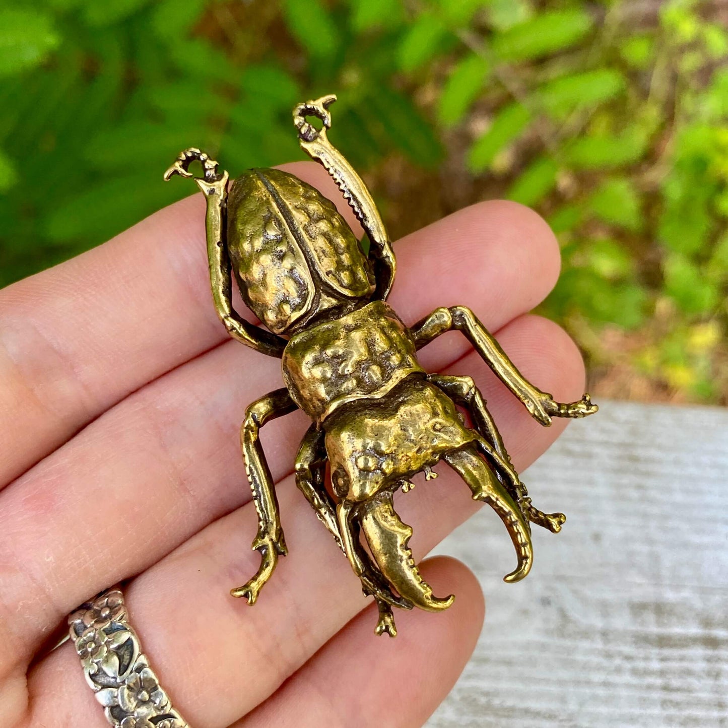 Solid brass stag beetle bug from Wild Brass, detailed decorative insect symbol of strength and renewal, on a neutral background.