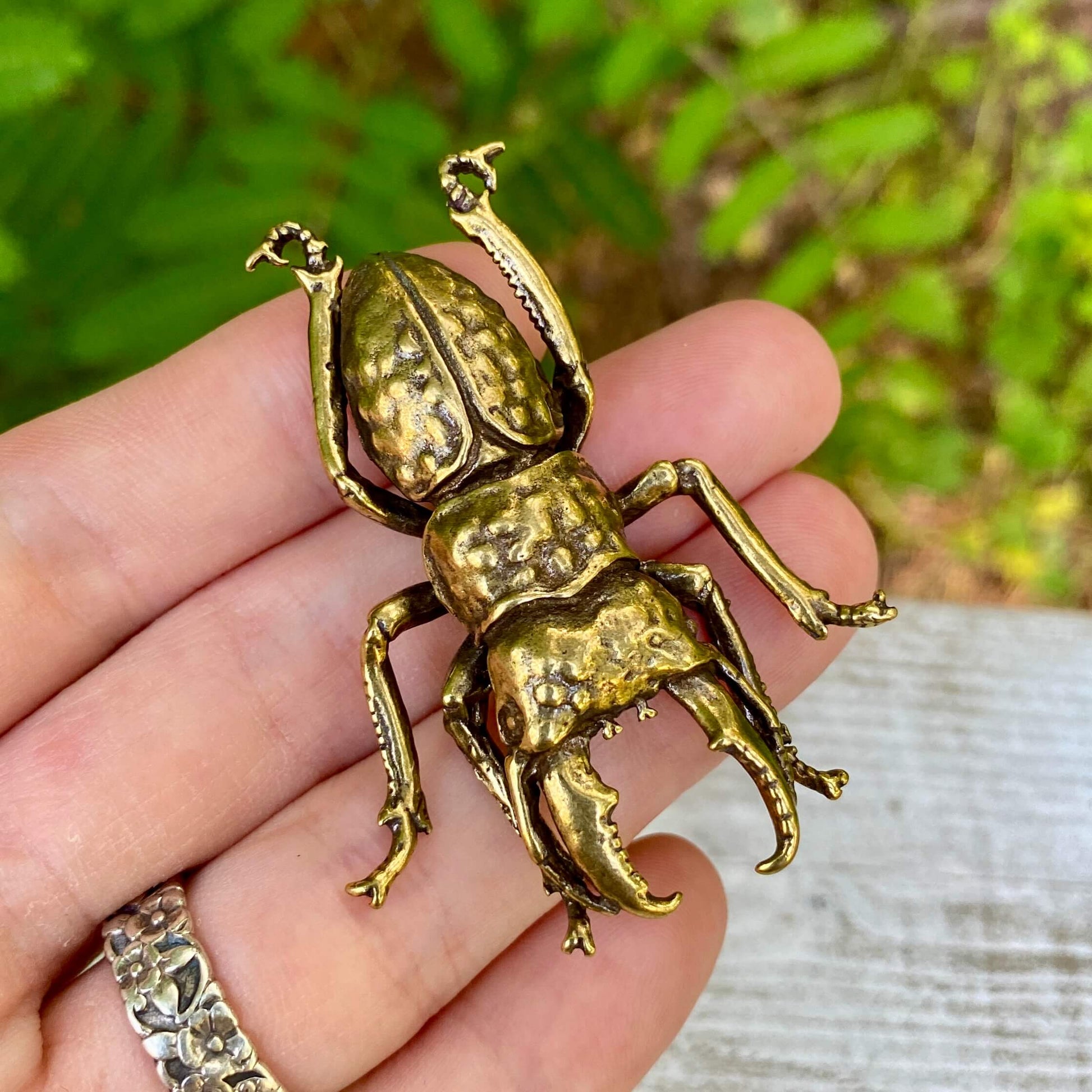 Solid brass stag beetle bug from Wild Brass, detailed decorative insect symbol of strength and renewal, on a neutral background.