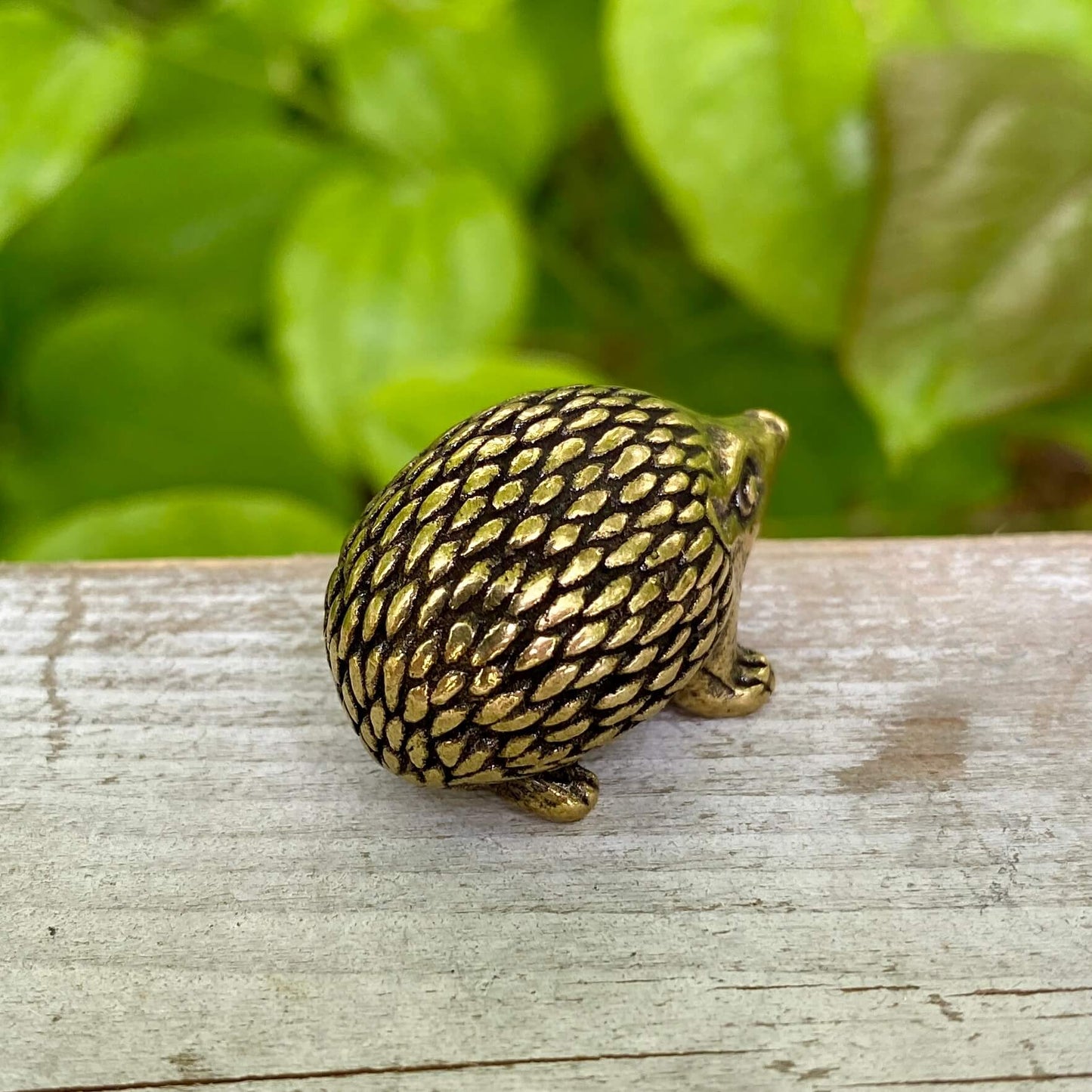 Solid Brass Hedgehog - Symbol of Curiosity, Protection & Resilience