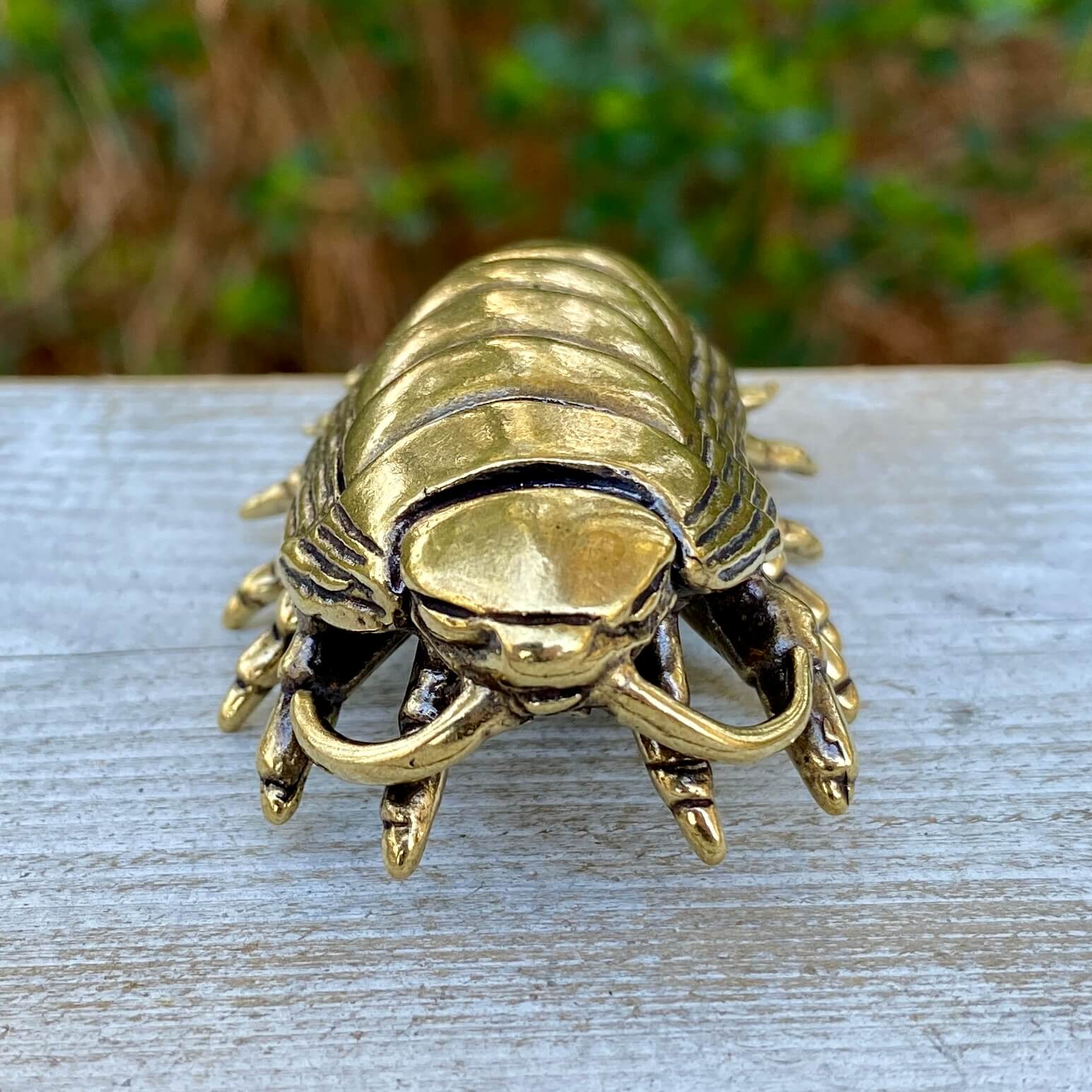 Solid brass giant isopod sculpture by Wild Brass, showcasing detailed legs and textured shell, symbolizing curiosity and endurance.