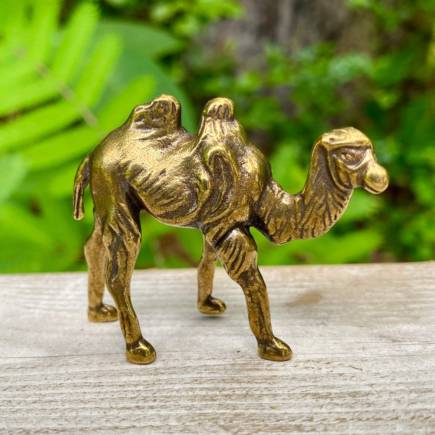 Solid brass camel sculpture by Wild Brass, symbol of endurance, patience, and survival, detailed with a smooth finish.