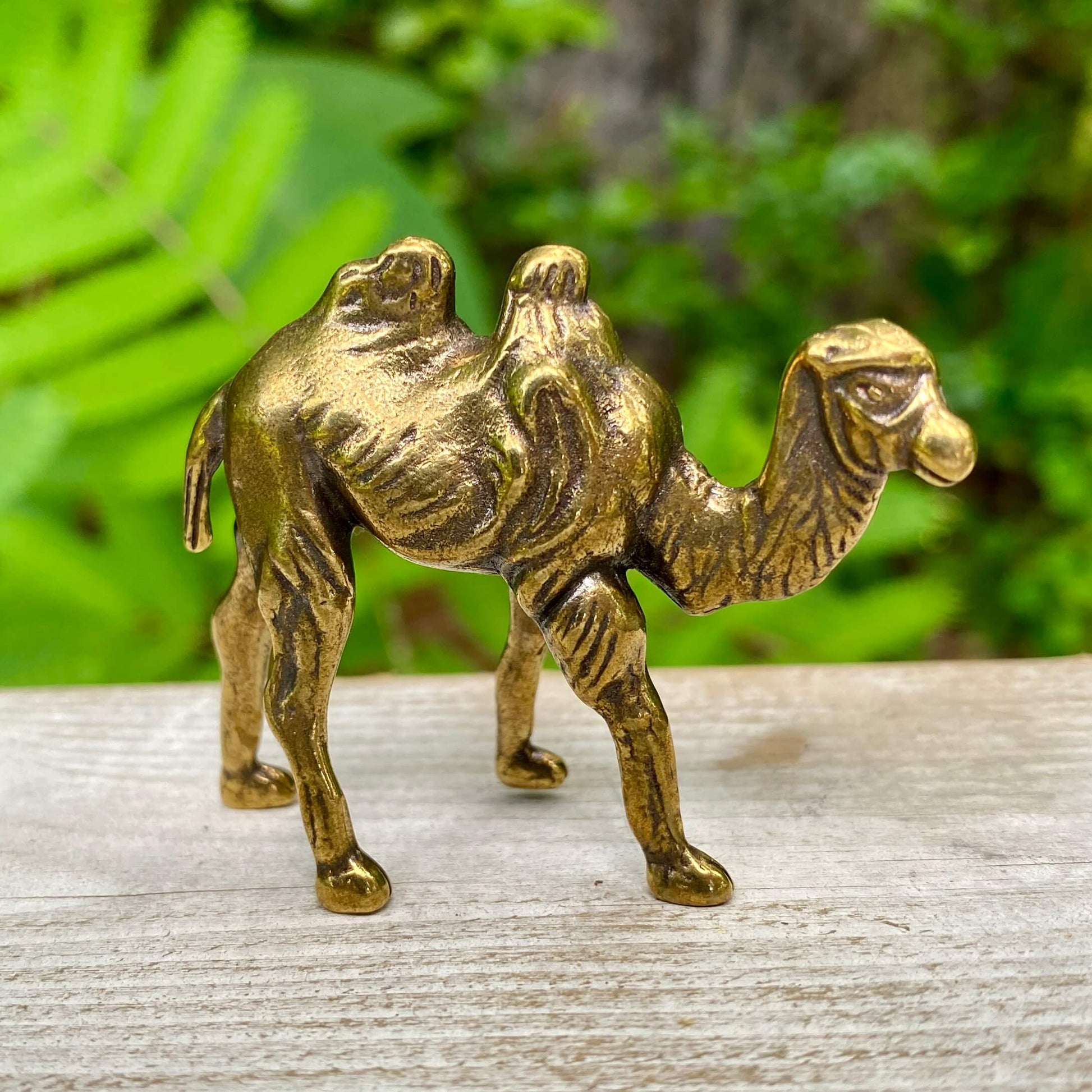 Solid brass camel sculpture by Wild Brass, symbol of endurance, patience, and survival, detailed with a smooth finish.