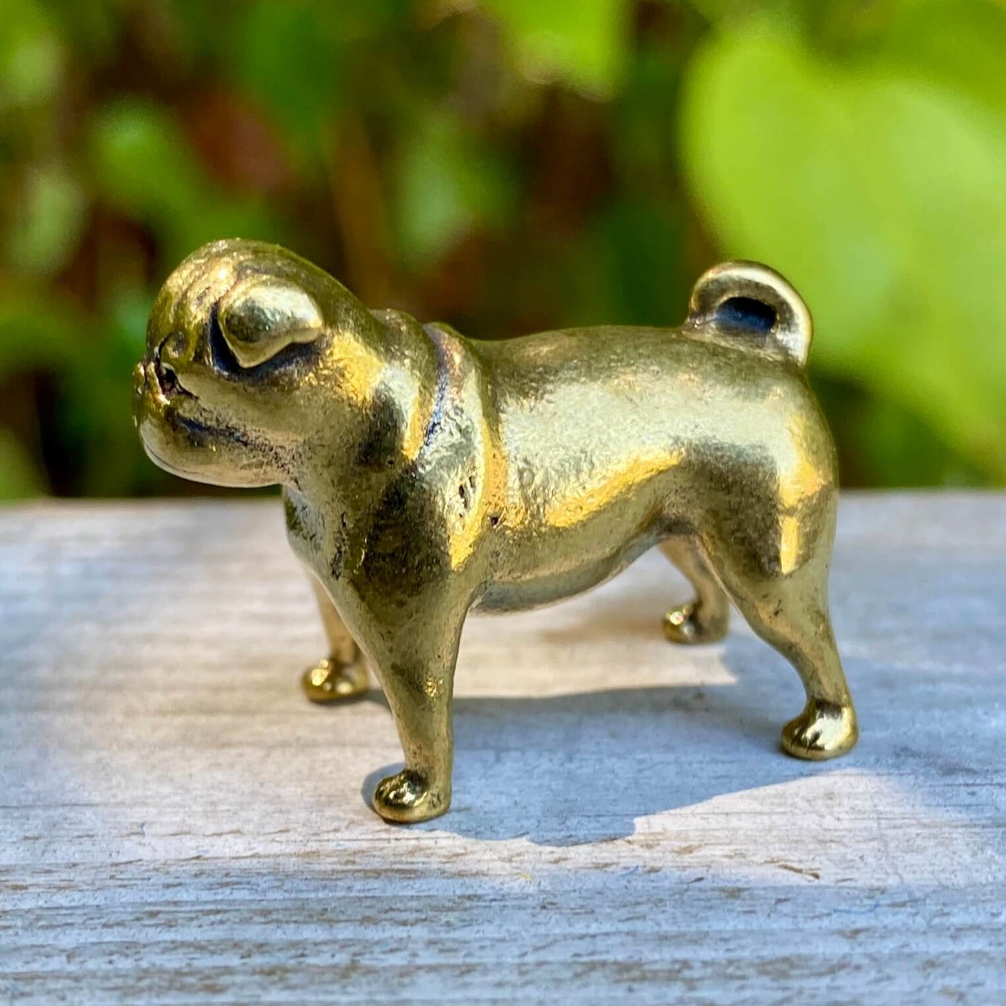 Solid brass pug figurine by Wild Brass, symbol of devotion, charm, and good fortune, shown in detailed close-up shot.