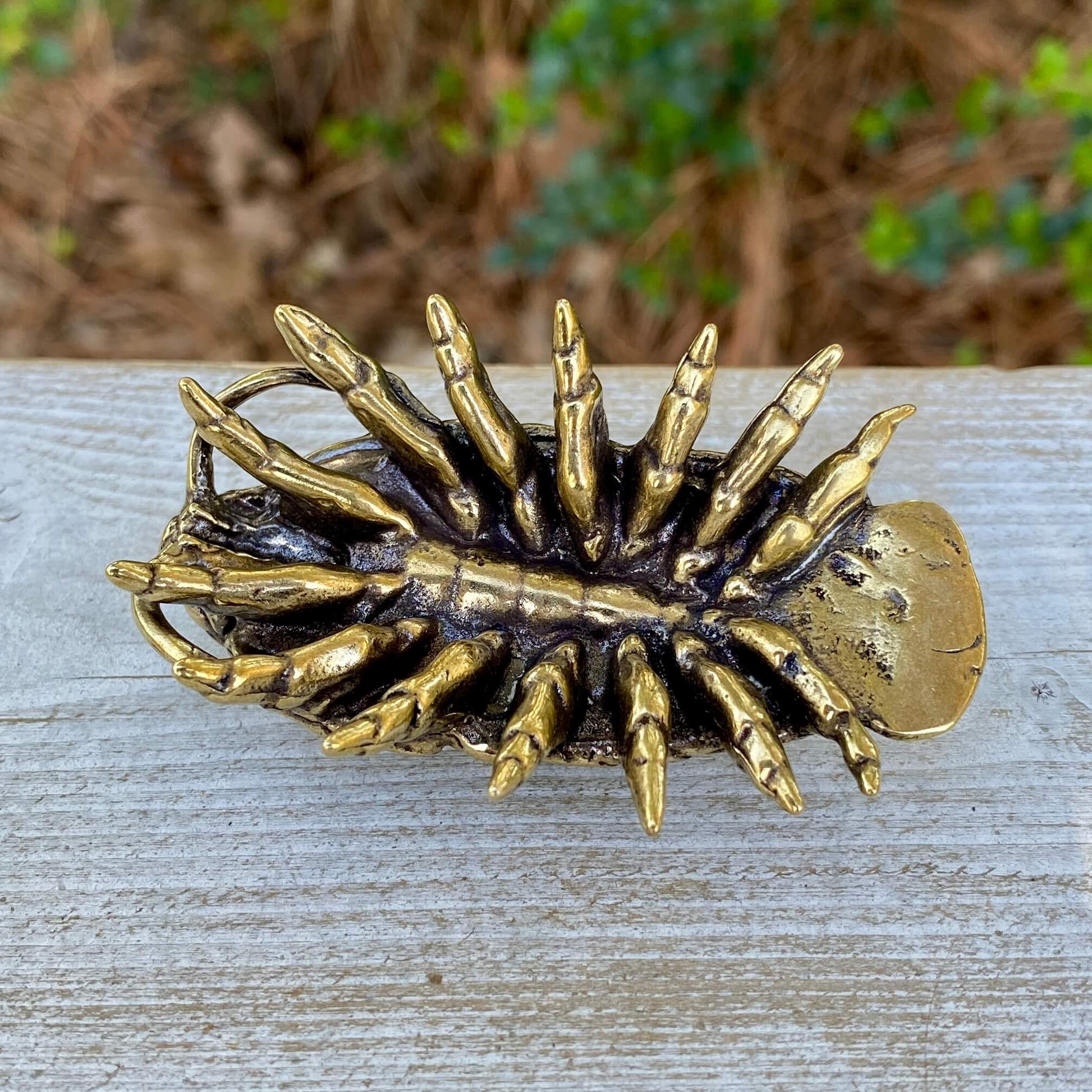 Solid brass giant isopod sculpture by Wild Brass, showcasing detailed, realistic features of this curiosity symbol in a natural pose.
