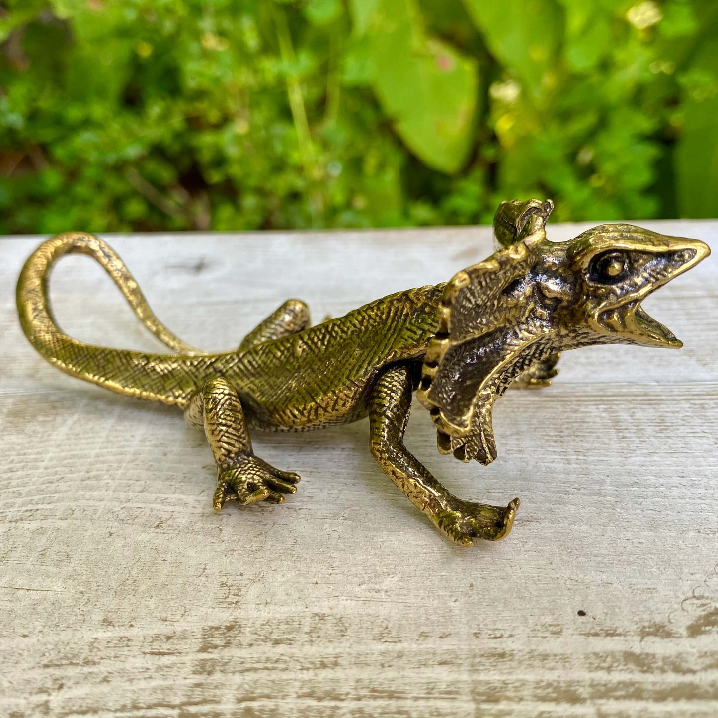 Solid brass veiled lizard sculpture by Wild Brass, symbolizing adaptability, resilience, and growth, shown in a detailed close-up image.