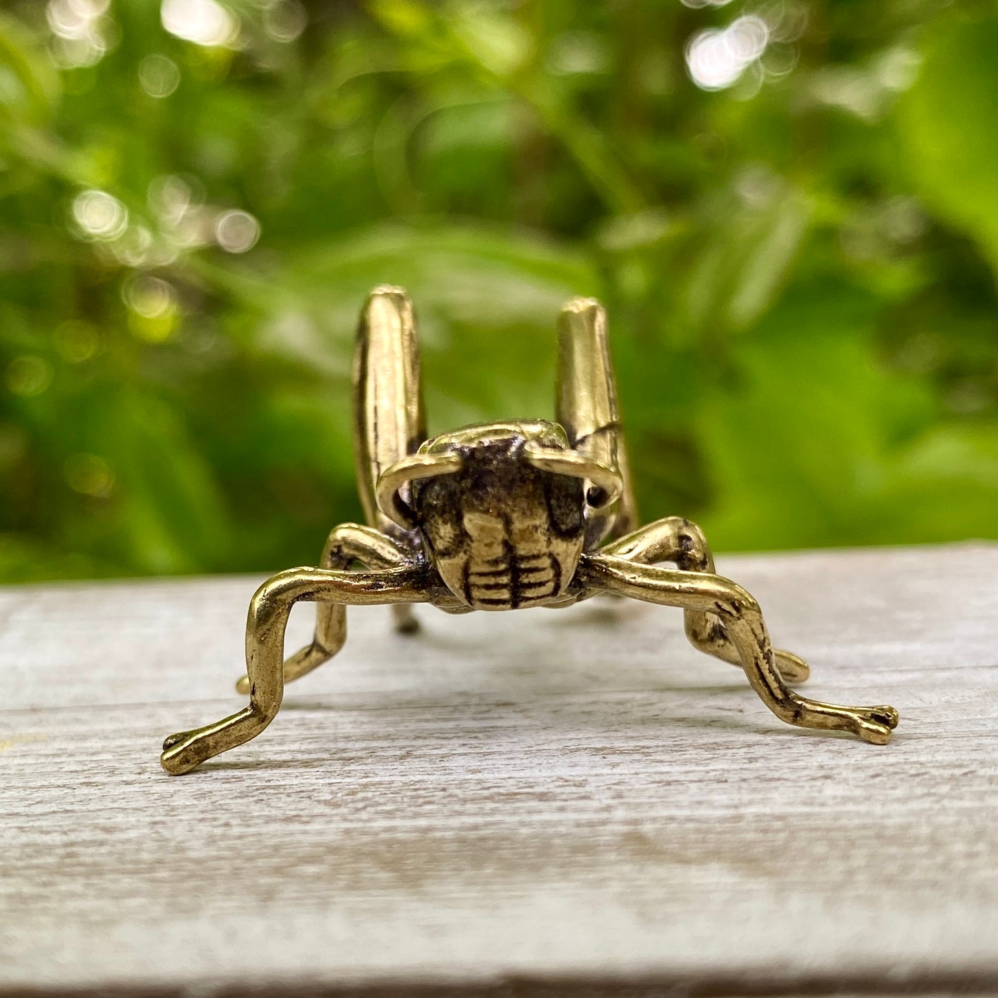 Solid Brass Grass Hopper / Cricket - Symbol of Good Fortune, Growth & Faith
