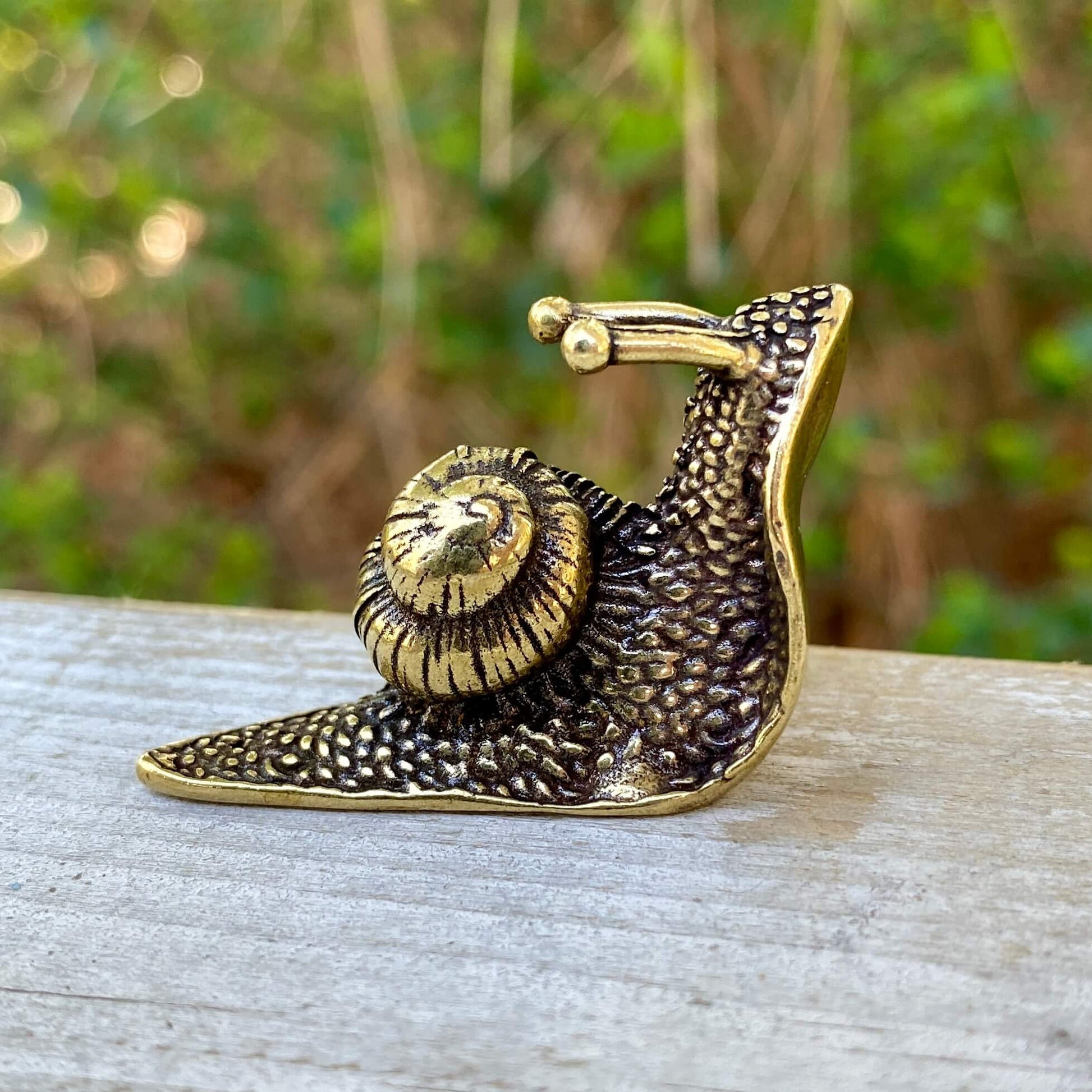 Solid brass snail sculpture by Wild Brass, symbol of patience, mindfulness, and calm, with detailed snail shell and smooth finish.