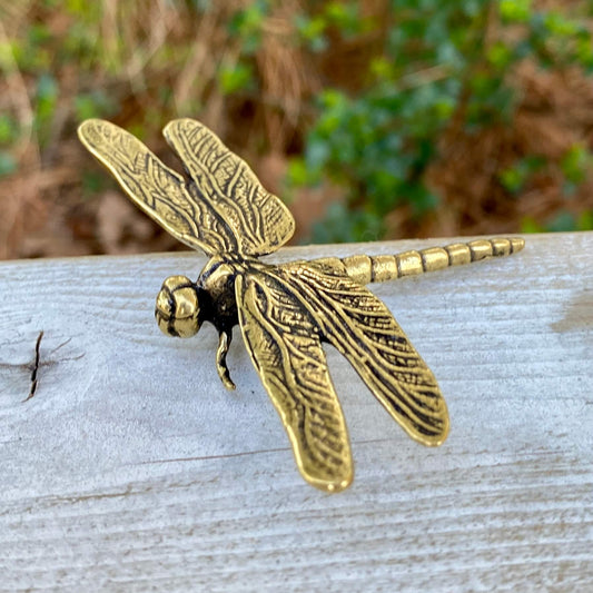 Solid brass dragonfly symbol by Wild Brass, representing self-realization and living in the moment, with intricate detailing.