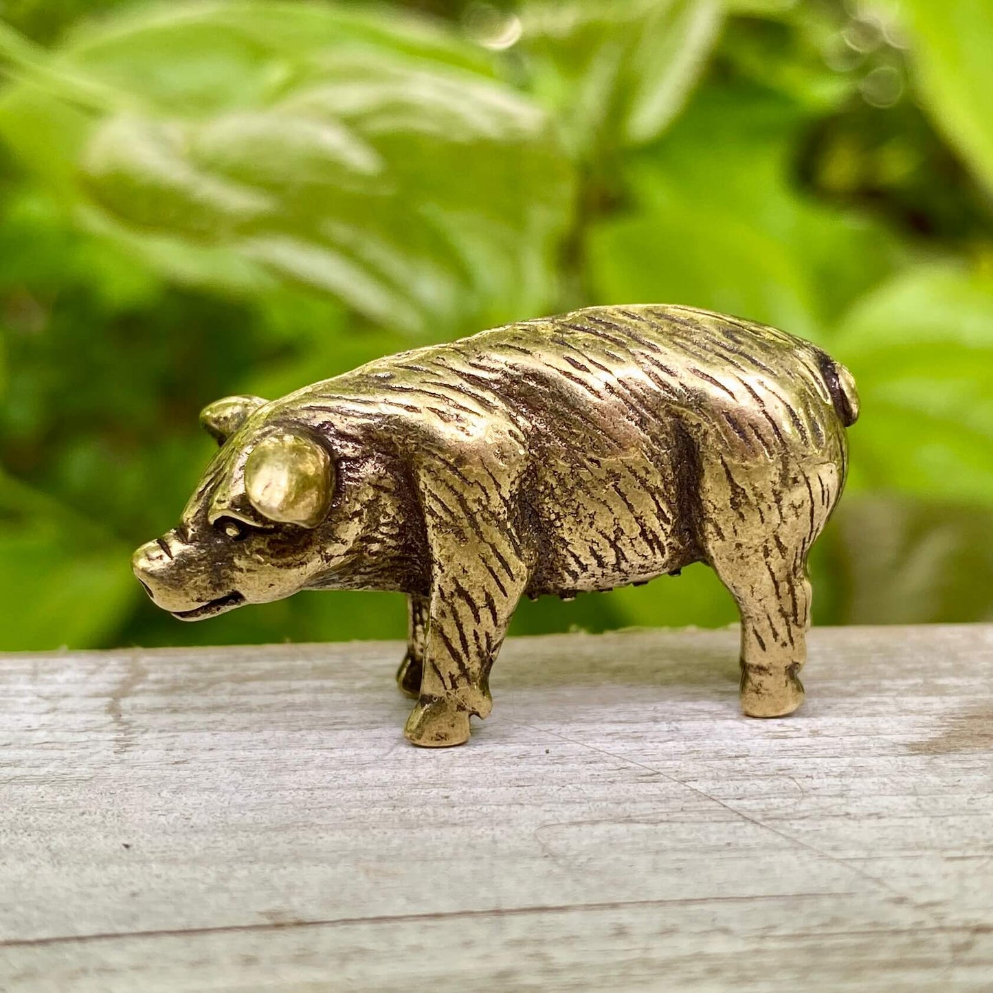 Solid Brass Pig - Symbol of Good Luck, Prosperity & Abundance - A38