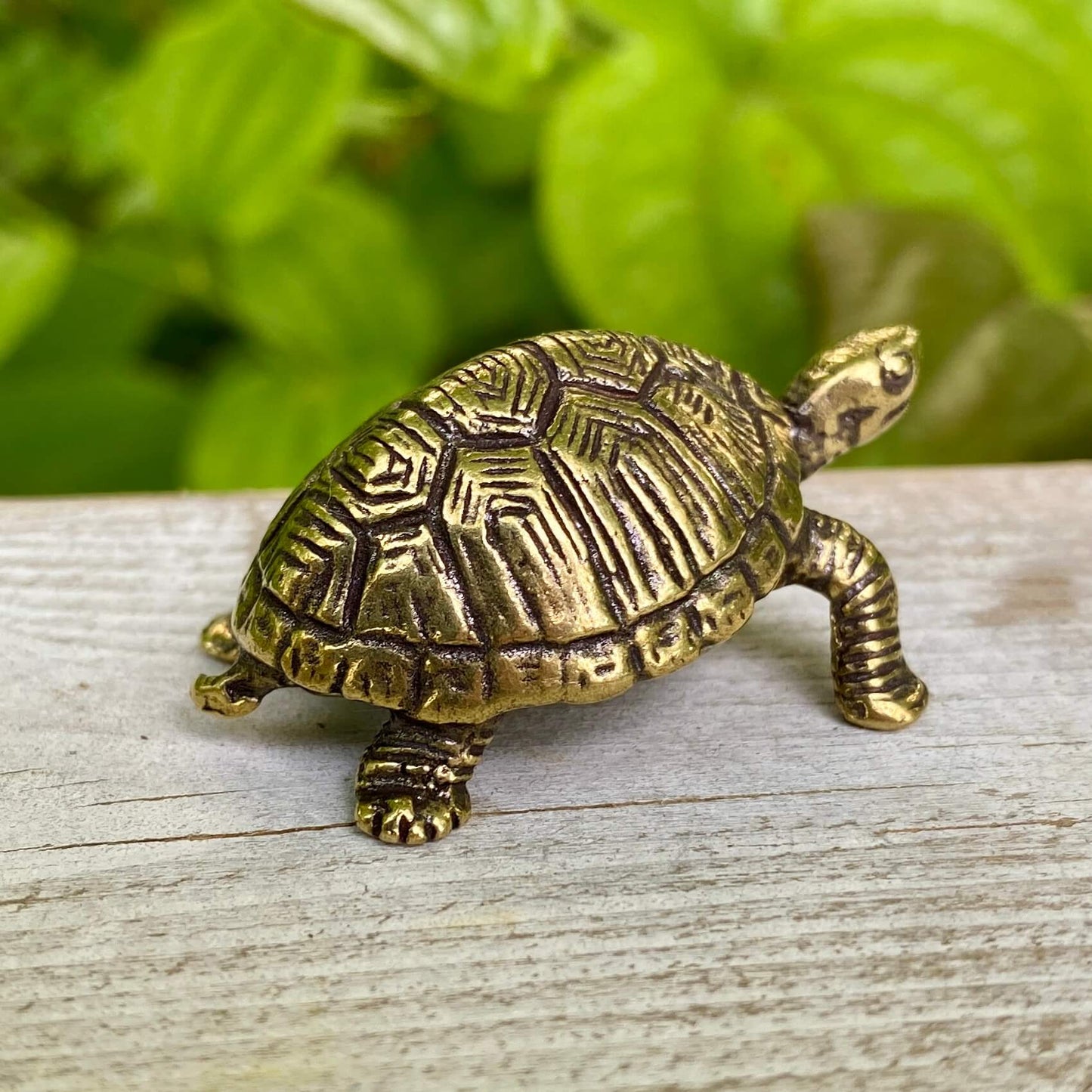 Solid Brass Land Turtle / Tortoise - Symbol of Patience, Wisdom & Balance