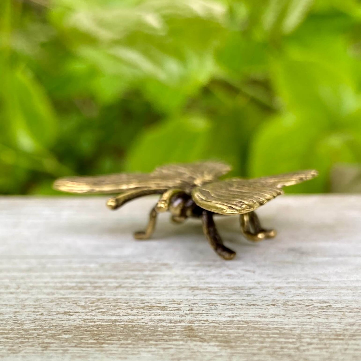 Solid Brass Butterfly - Symbol of Metamorphosis, Transformation & Revealing your True Self
