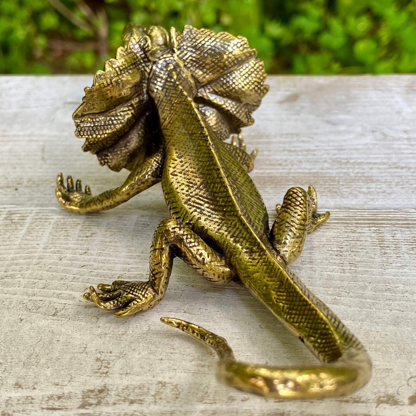 Solid brass veiled lizard sculpture by Wild Brass, symbol of adaptability, resilience, and growth, shown in detailed close-up.