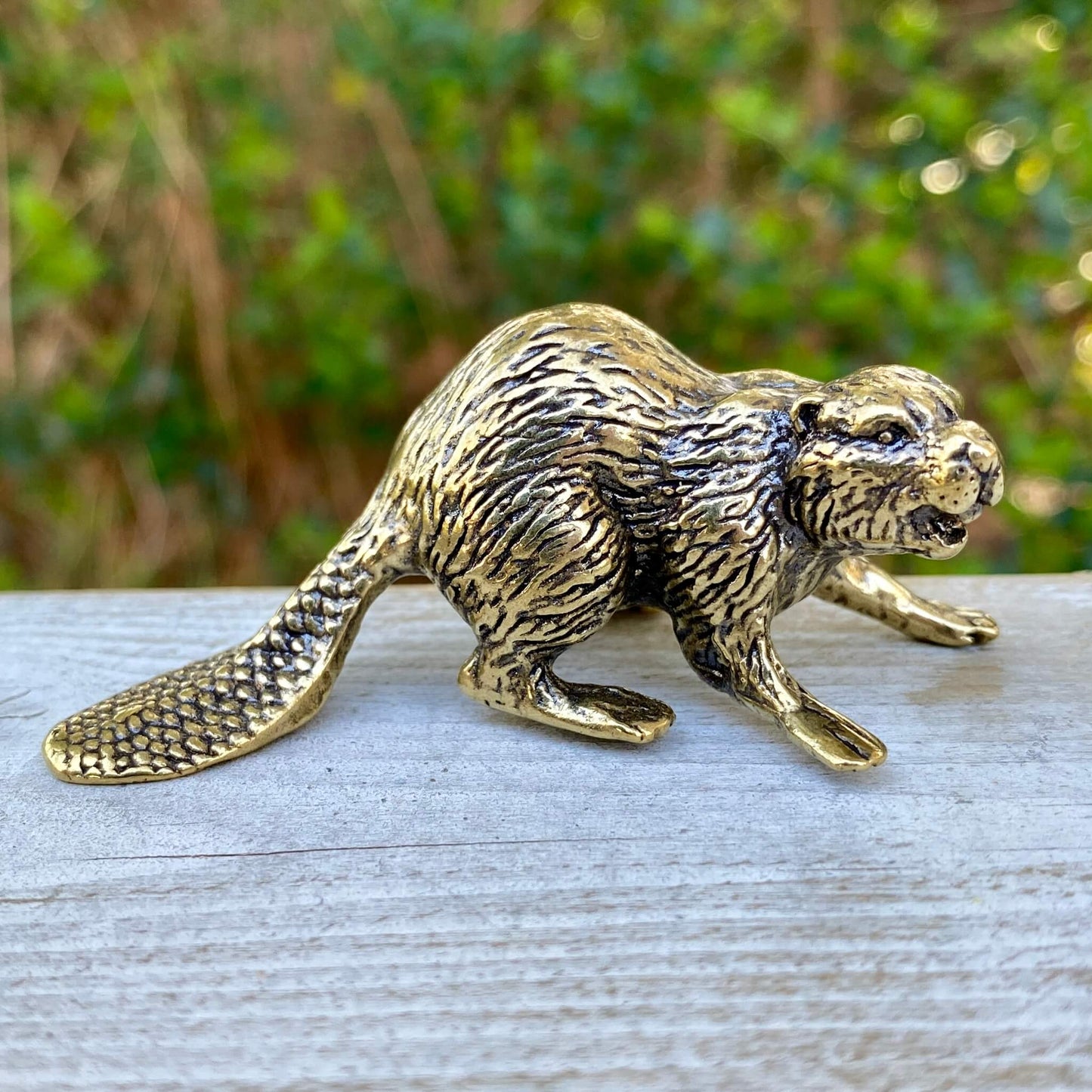 Solid brass beaver sculpture by Wild Brass, symbol of creativity, power, and determination, detailed close-up view.