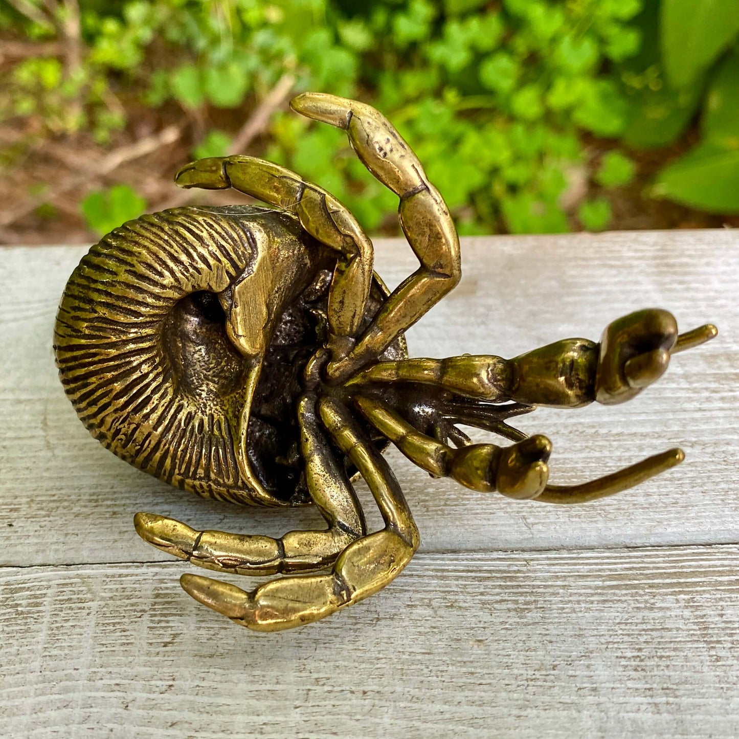 Solid brass hermit crab figurine by Wild Brass, symbolizing adaptability, protection, and personal growth, with detailed shell and crab features.