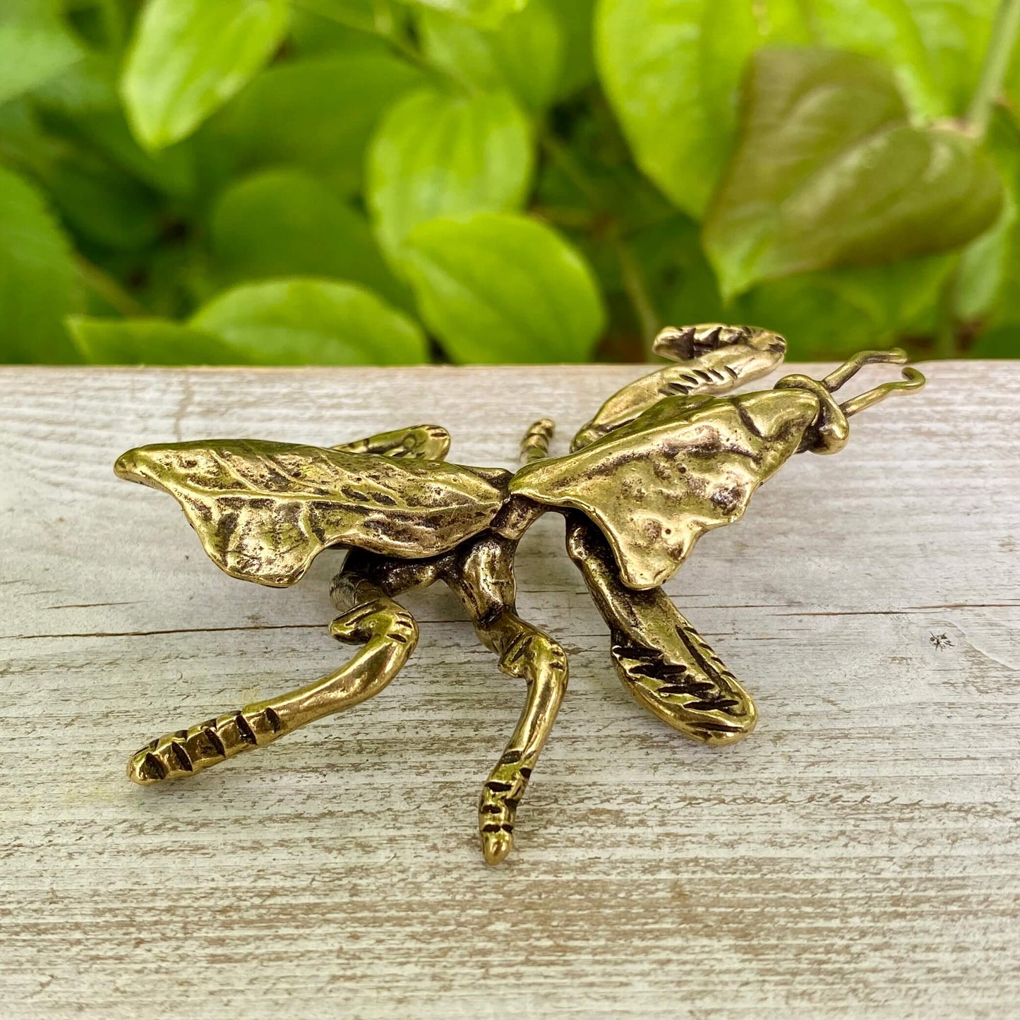 Solid Brass Devils Flower Mantis - Symbol of Transformation - Precision & Patience