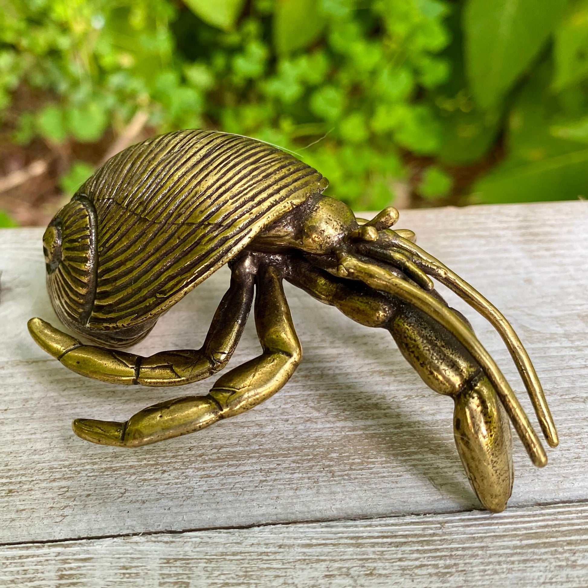 Solid brass hermit crab sculpture by Wild Brass, symbolizing adaptability, protection, and personal growth, detailed and handcrafted.