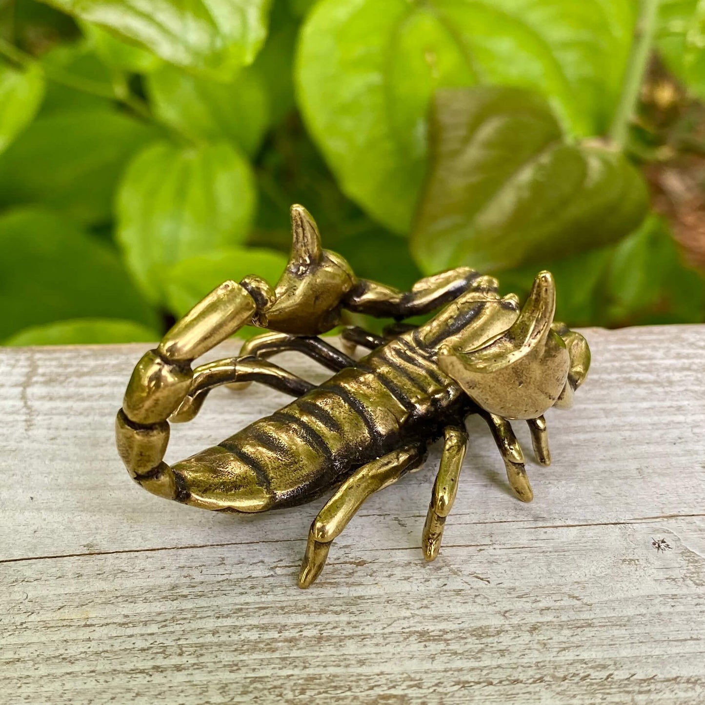 Solid Brass Scorpion - Symbol of Respect, Confidence & Power