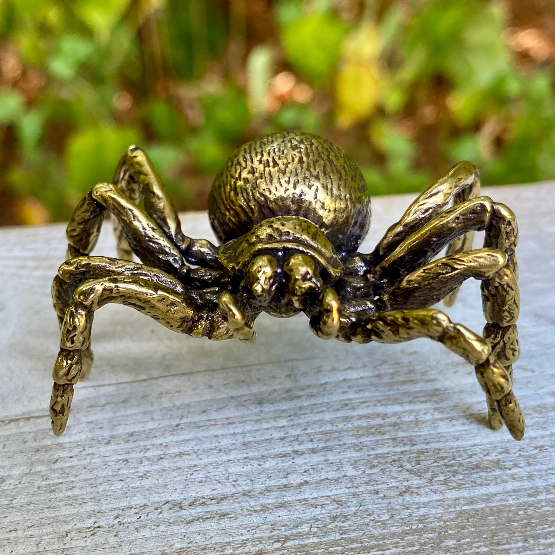 Solid brass tarantula spider sculpture by Wild Brass, detailed and textured, symbolizing patience, creativity, and shadow wisdom.
