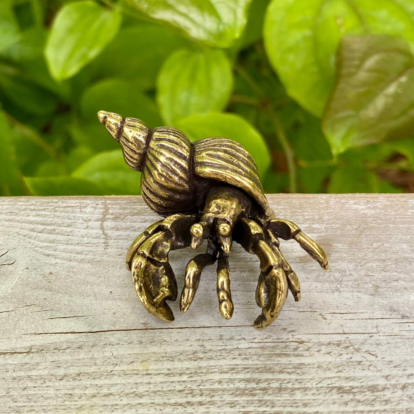 Solid Brass Hermit Crab – Symbol of Adaptability, Protection & Personal Growth