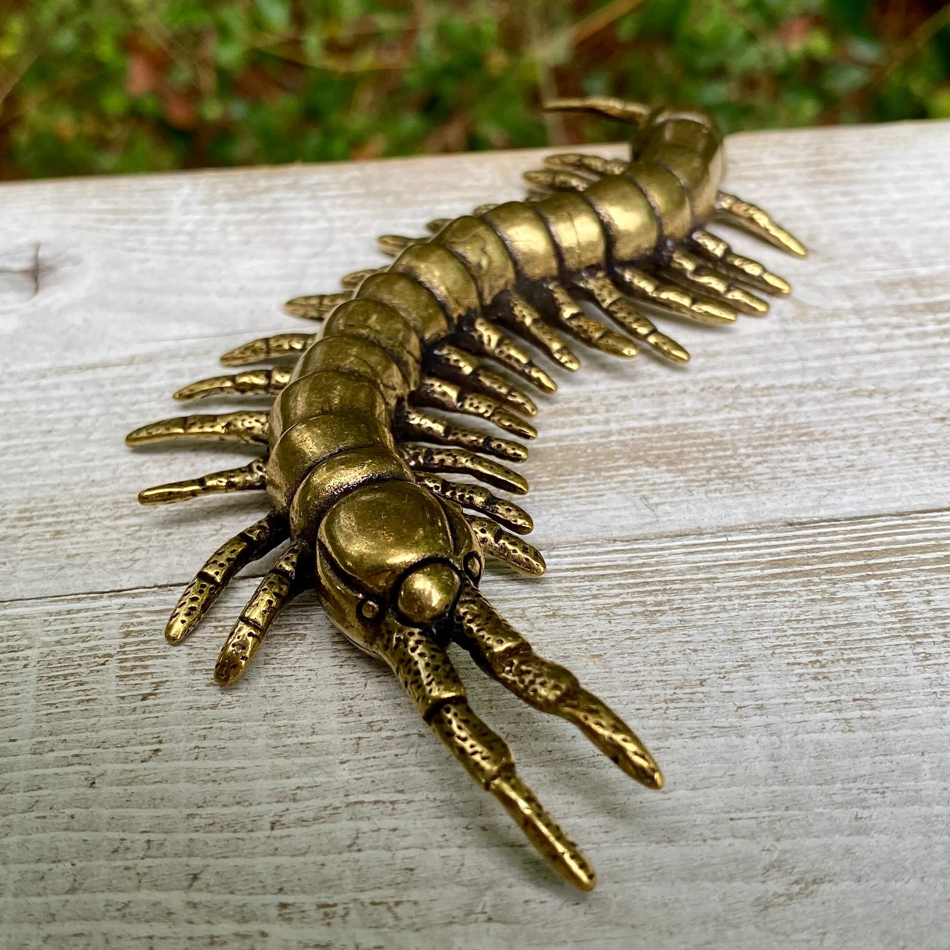 Solid brass centipede sculpture by Wild Brass, symbol of protection, persistence, and flexibility, showcasing intricate craftsmanship.
