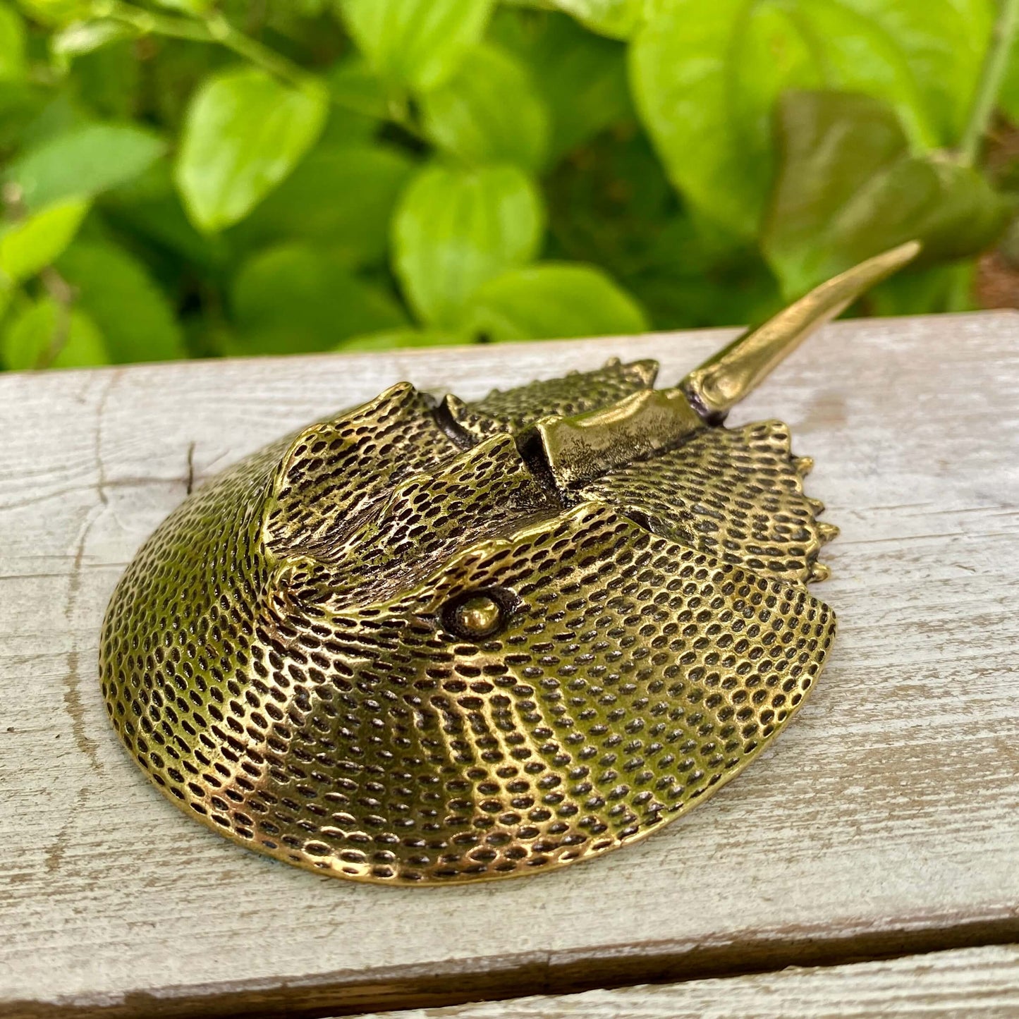 Solid Brass Horseshoe Crab - Symbol of Wisdom, Protection & Strength - A61