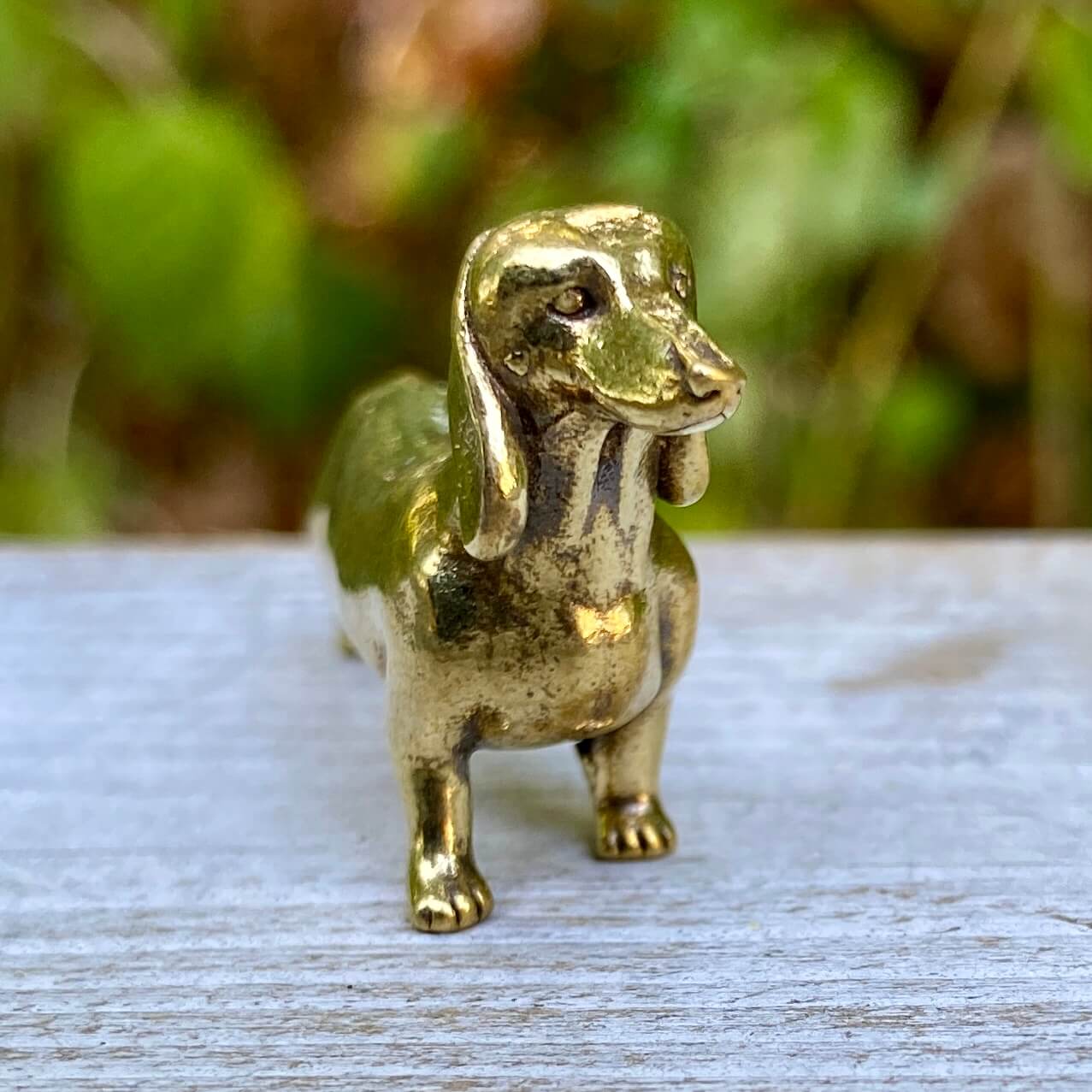 Solid brass dachshund dog figurine by Wild Brass, symbolizing courage, loyalty, and tenacity, with detailed craftsmanship.