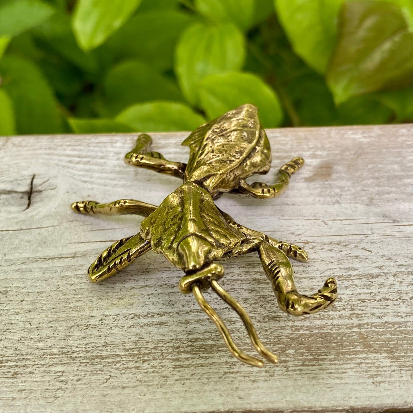 Solid Brass Devils Flower Mantis - Symbol of Transformation - Precision & Patience