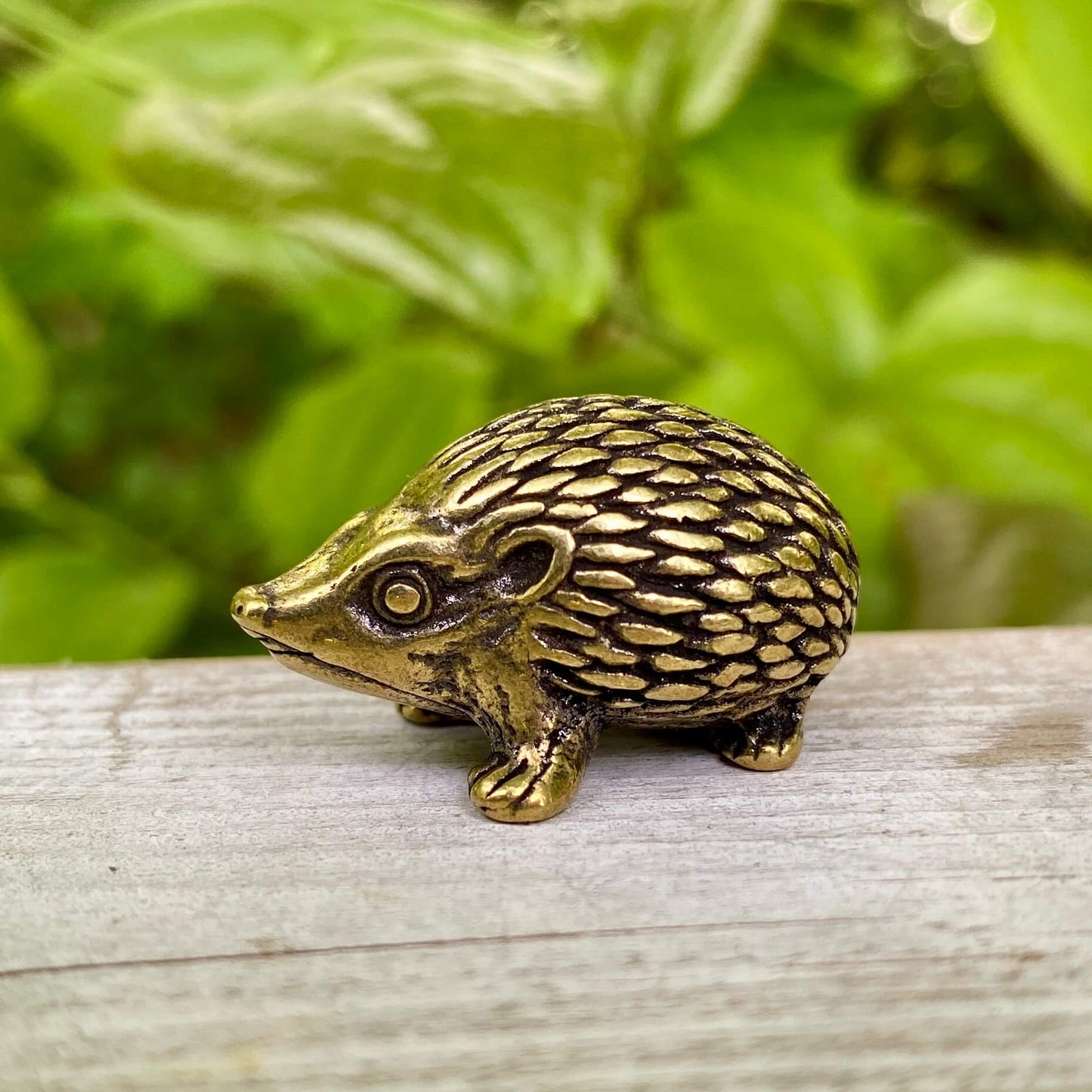 Solid Brass Hedgehog - Symbol of Curiosity, Protection & Resilience