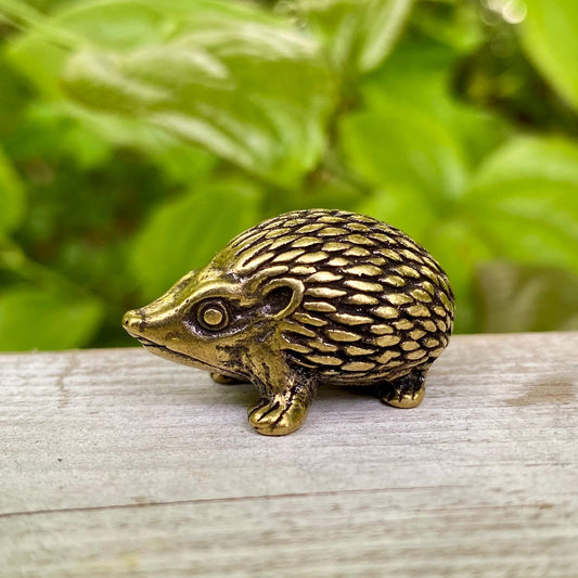 Solid Brass Hedgehog - Symbol of Curiosity, Protection & Resilience