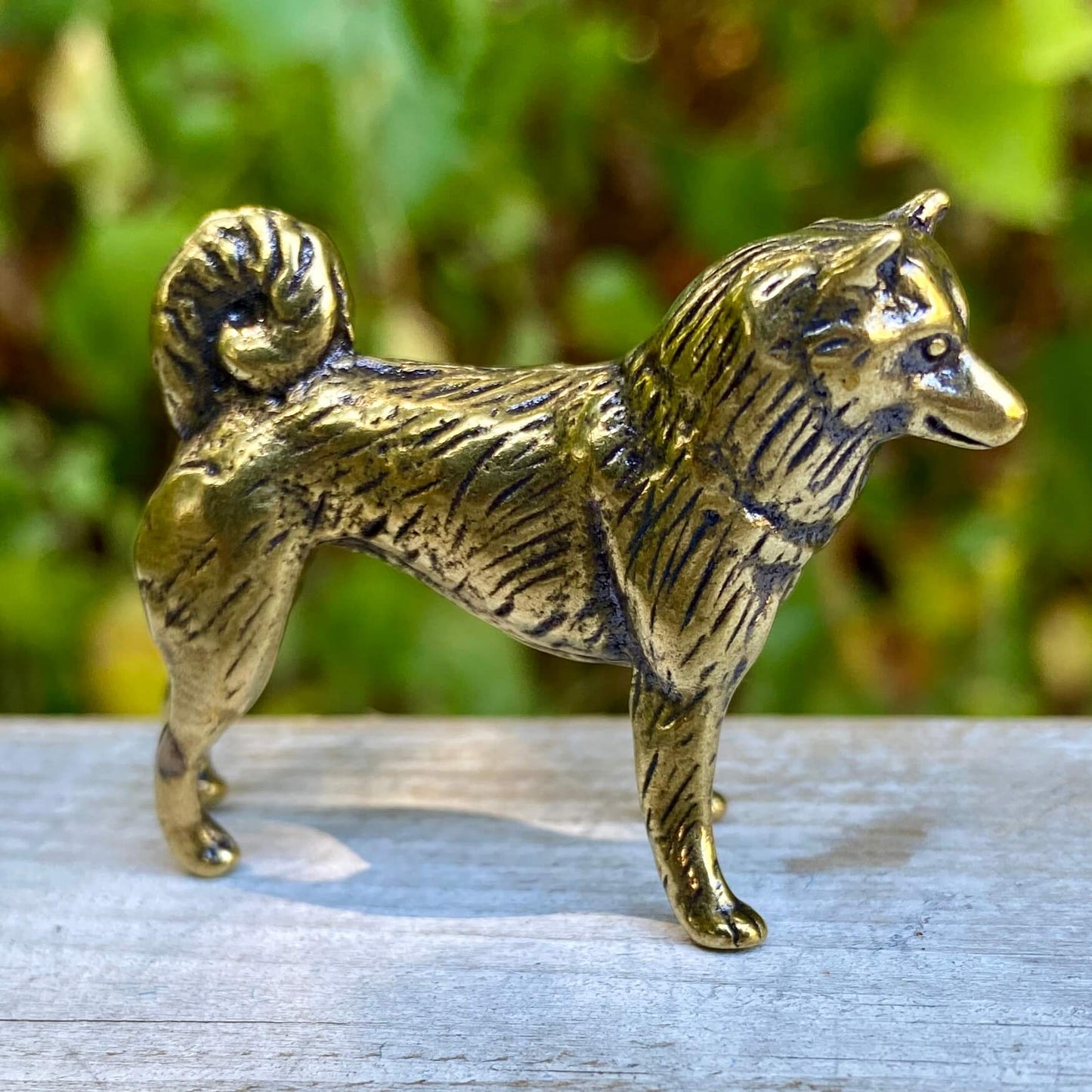 Solid brass Shiba Inu dog figurine by Wild Brass, symbolizing loyalty, courage, and independence, detailed and polished craftsmanship.