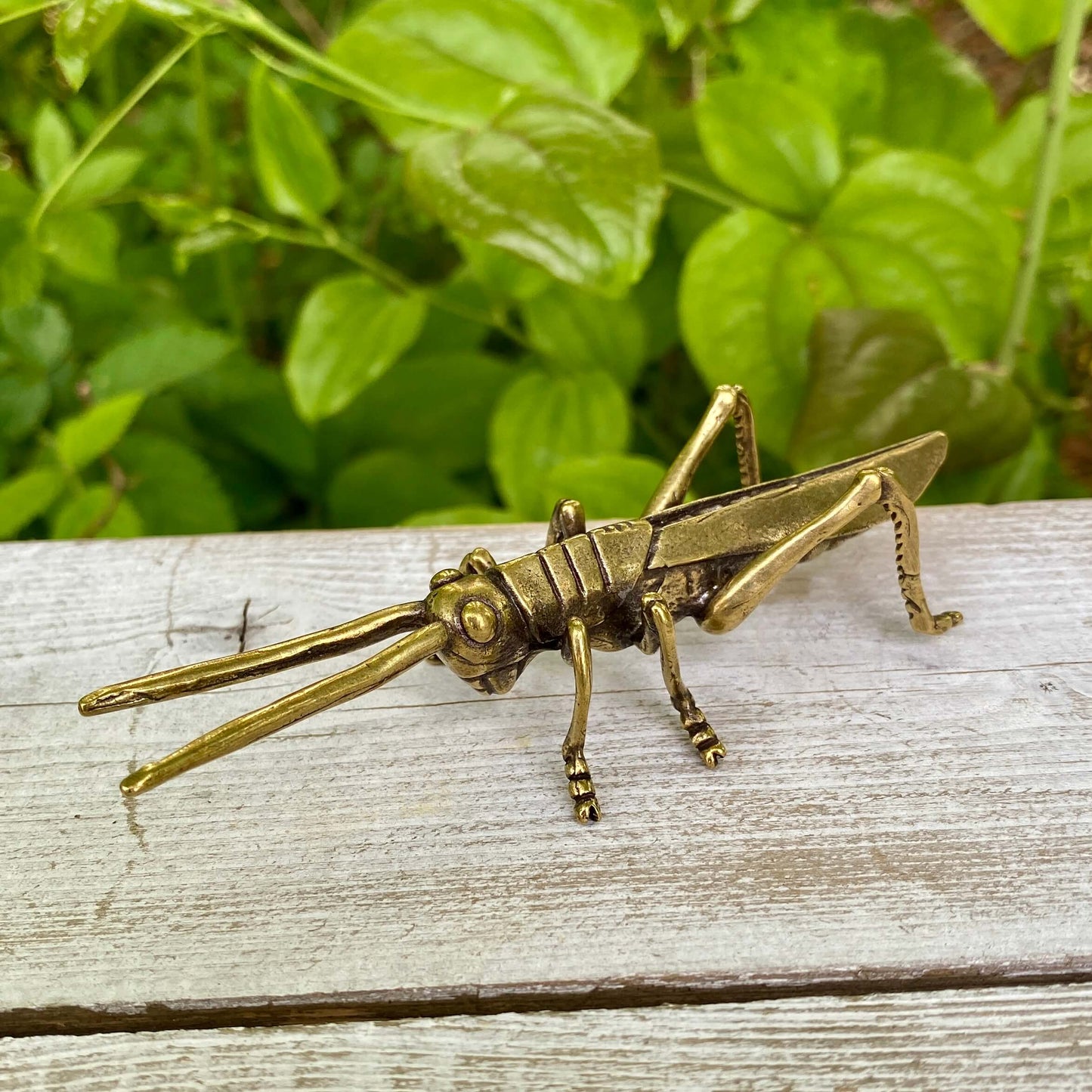 Solid Brass Grass Hopper - Symbol of Good Fortune, Growth & Faith