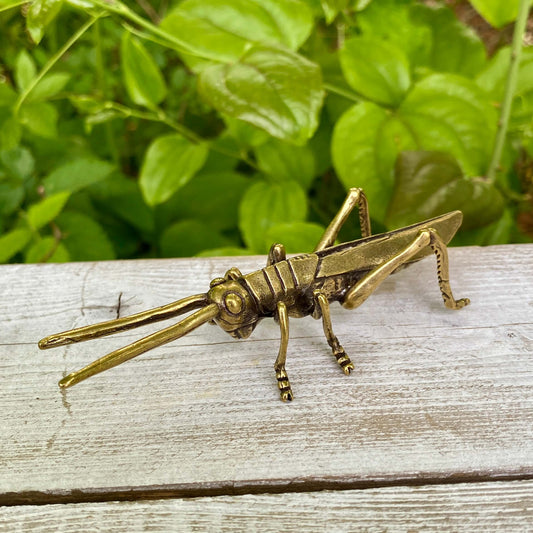 Solid Brass Grass Hopper - Symbol of Good Fortune, Growth & Faith