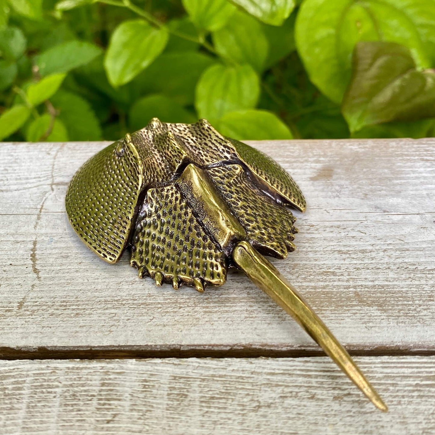 Solid Brass Horseshoe Crab - Symbol of Wisdom, Protection & Strength - A61