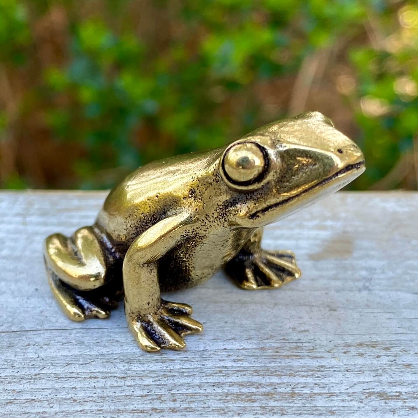 Solid brass frog figurine by Wild Brass, symbol of transformation, renewal, and luck, detailed and polished surface.
