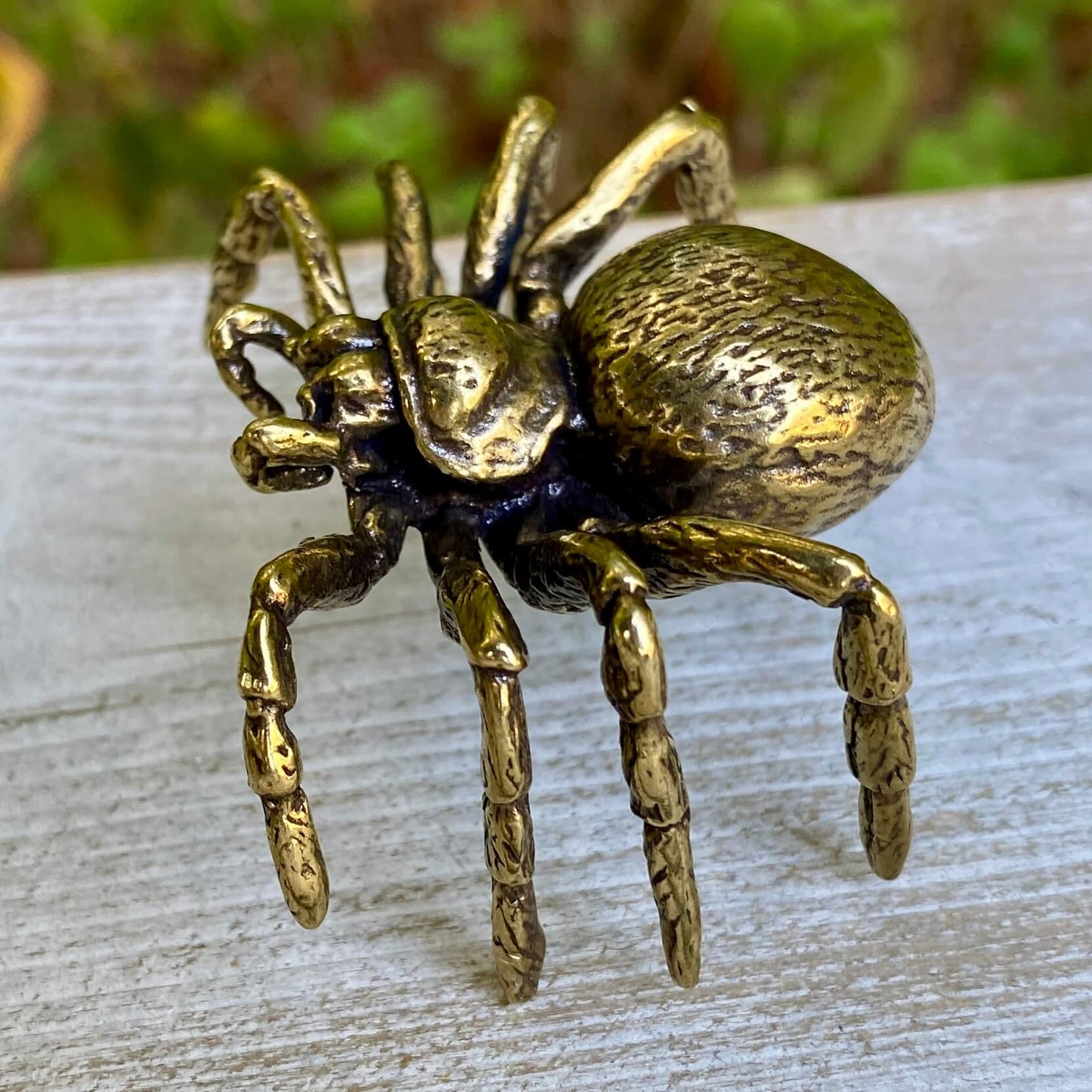 Solid brass tarantula spider figurine by Wild Brass, symbolizing patience, creativity, and shadow wisdom, displayed on a neutral background.
